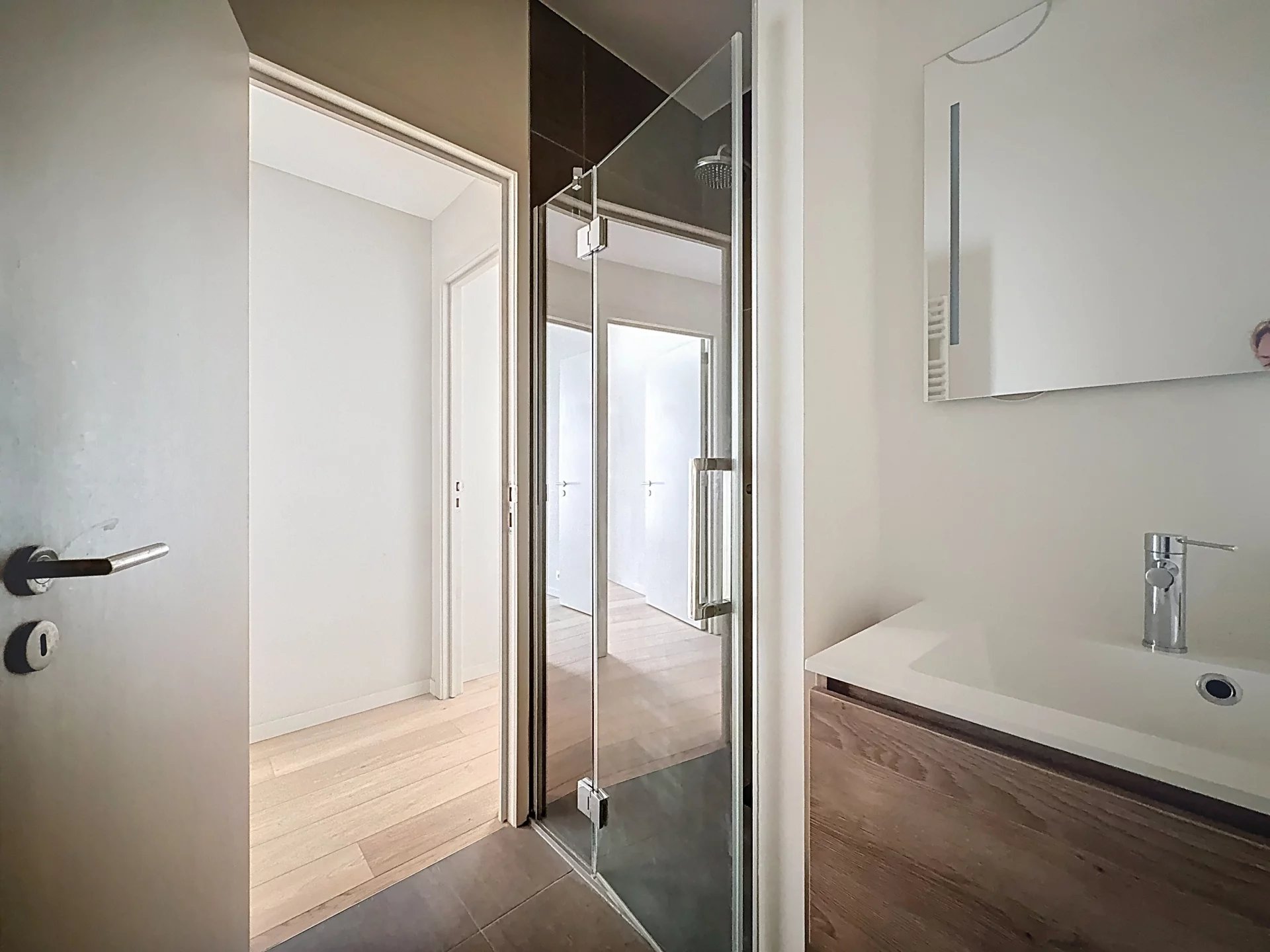 Magnificent 3-bedroom apartment with terrace