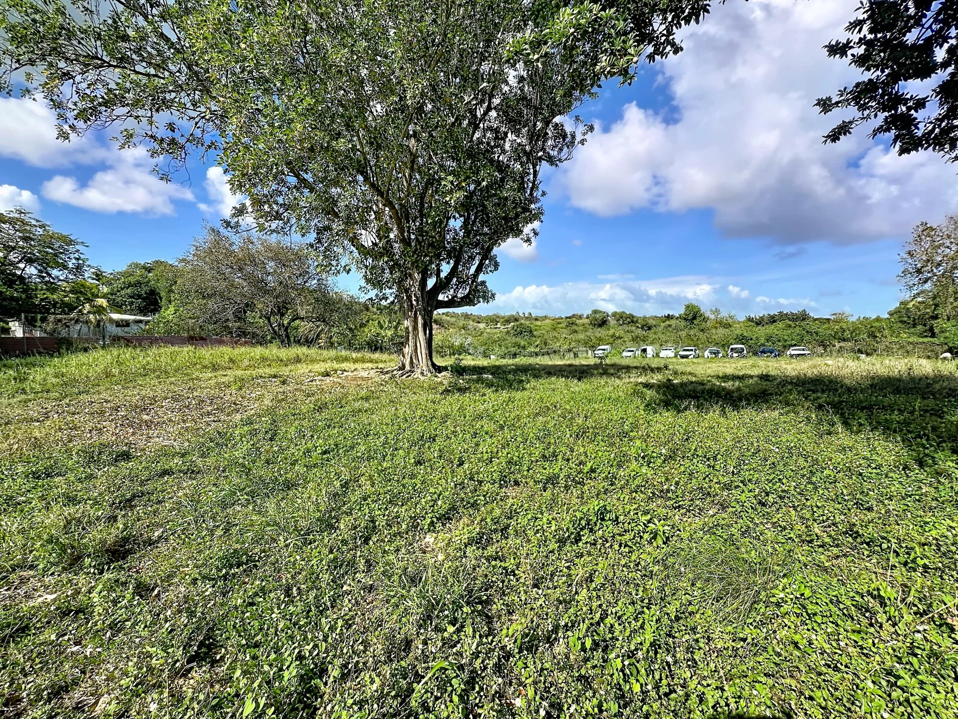 Agence immobilière de Karol Immo