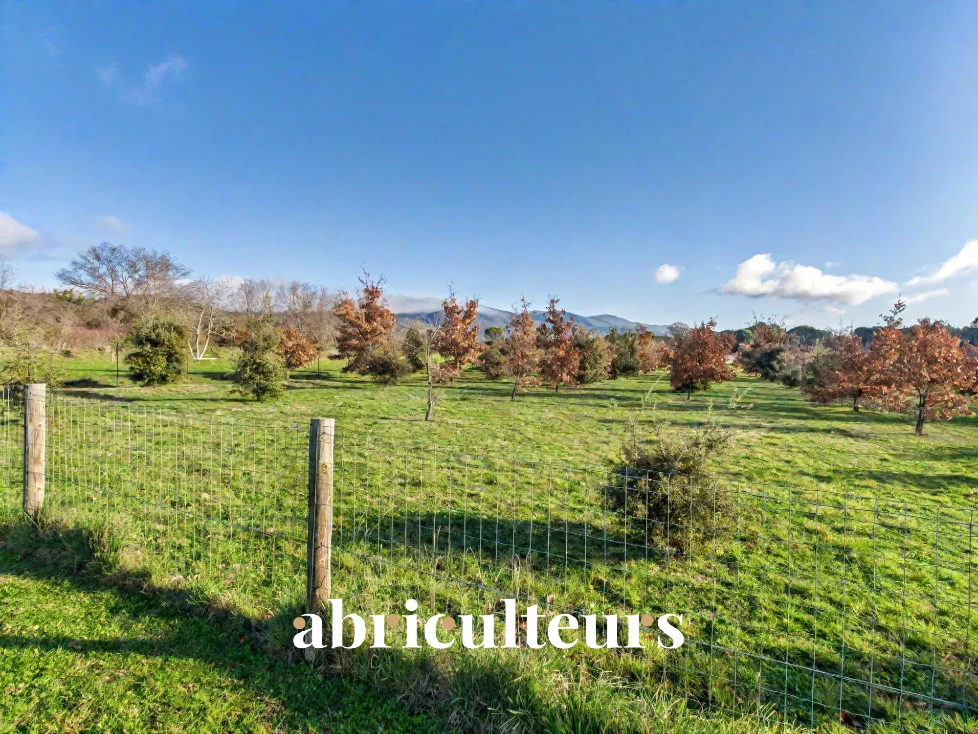 Agence immobilière de LES ABRICULTEURS