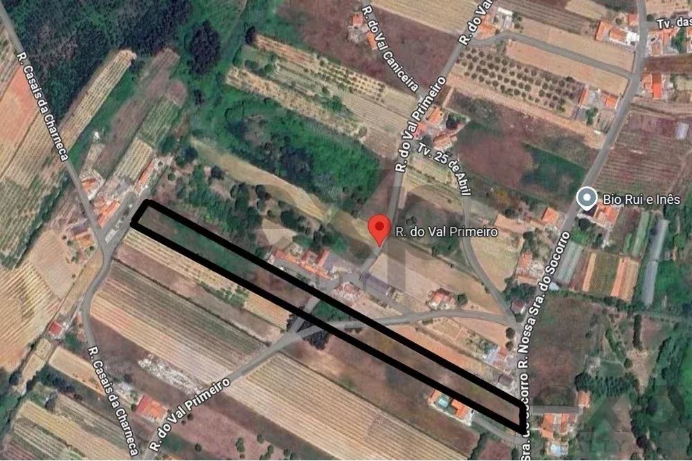Terreno 9760m2 - Área construção 2000 m2 – Carvalhal – Bombarral