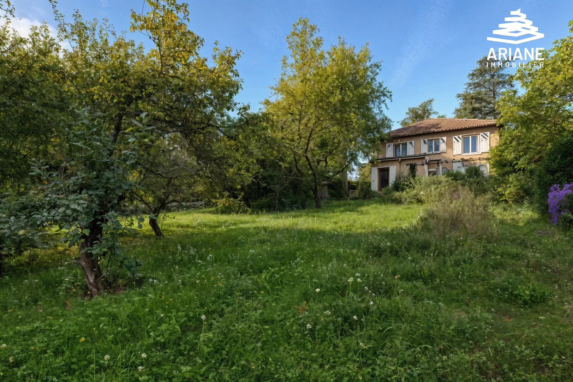 Vente Appartement Saint-Cyr-au-Mont-d'Or