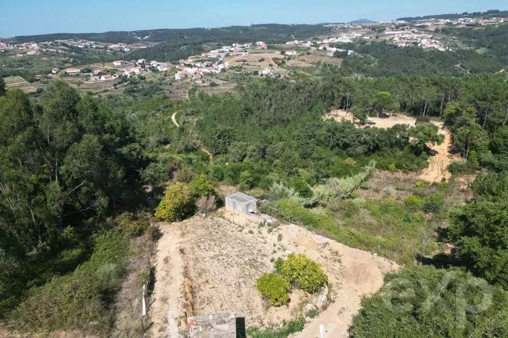 "Terreno dos Sonhos: 7,937m² em Santo Isidoro"