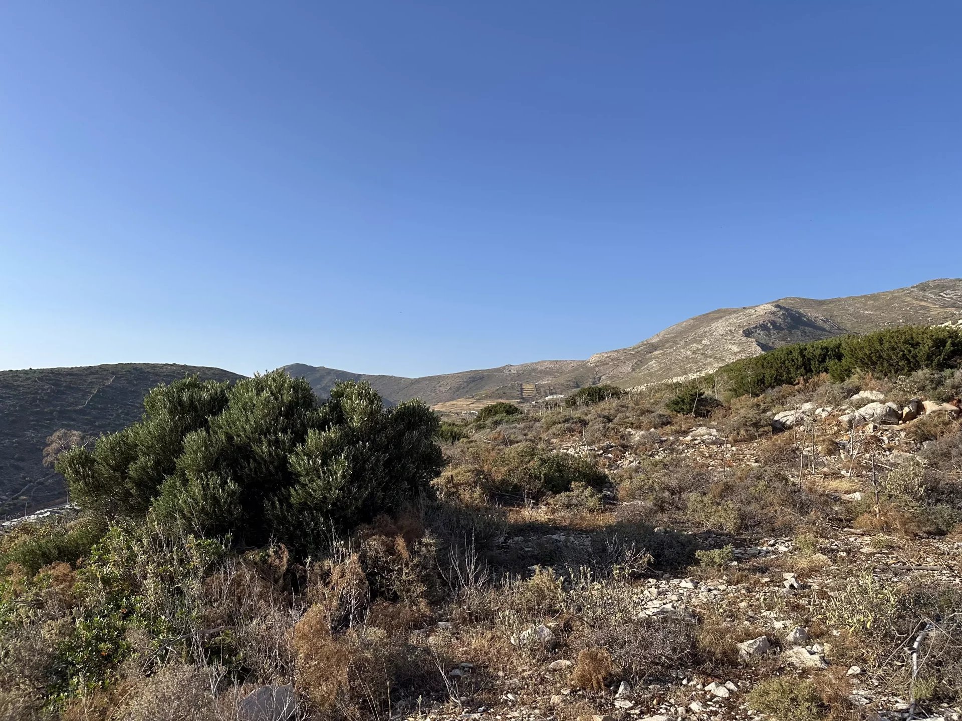 Image de la propriété 11