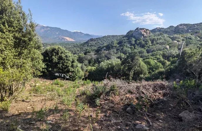 Agence immobilière de La Maison de l'Immobilier