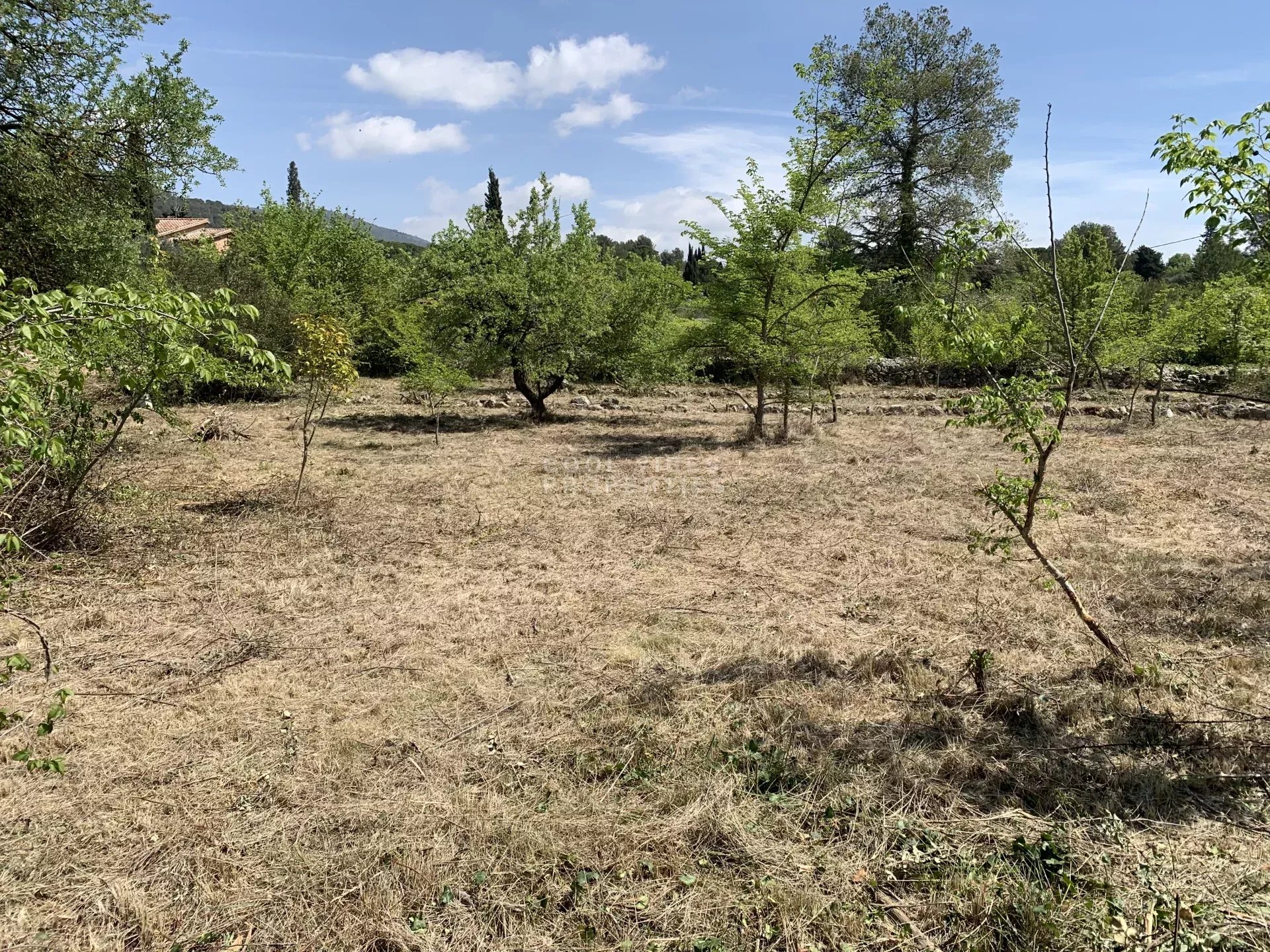 SOUS COMPROMIS Peymeinade, beau terrain plat au calme