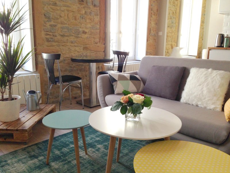 Zu vermieten Wohnung | Lyon 1er - picture 1