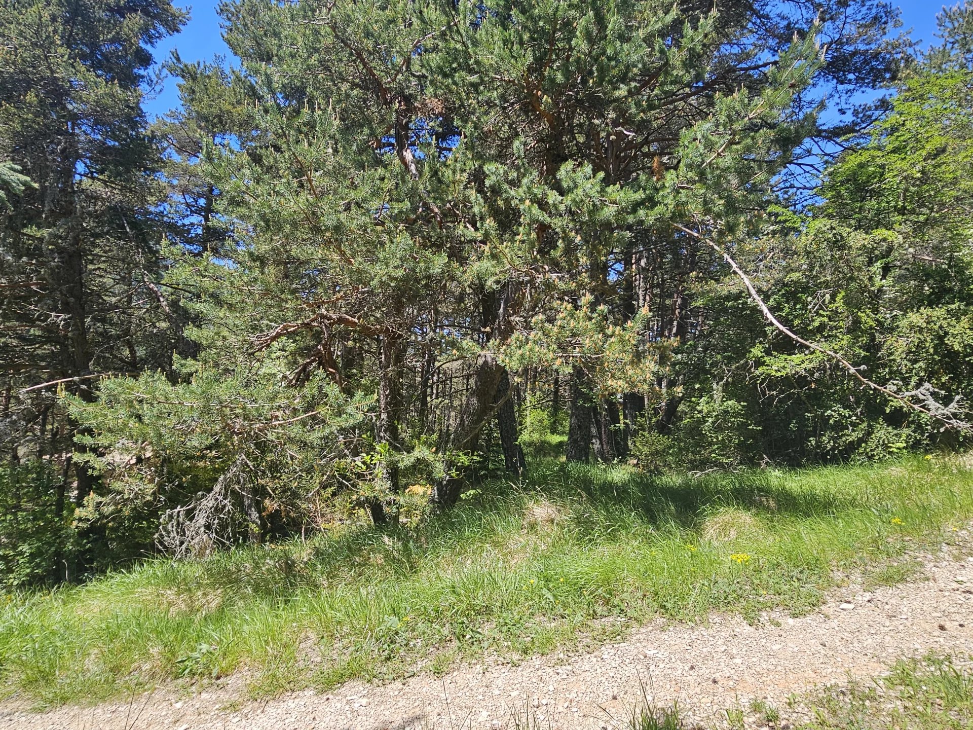 Terrain constructible  2 planches