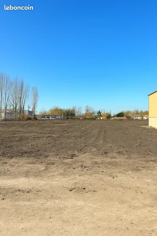 Agence immobilière de Skyline Real Estate