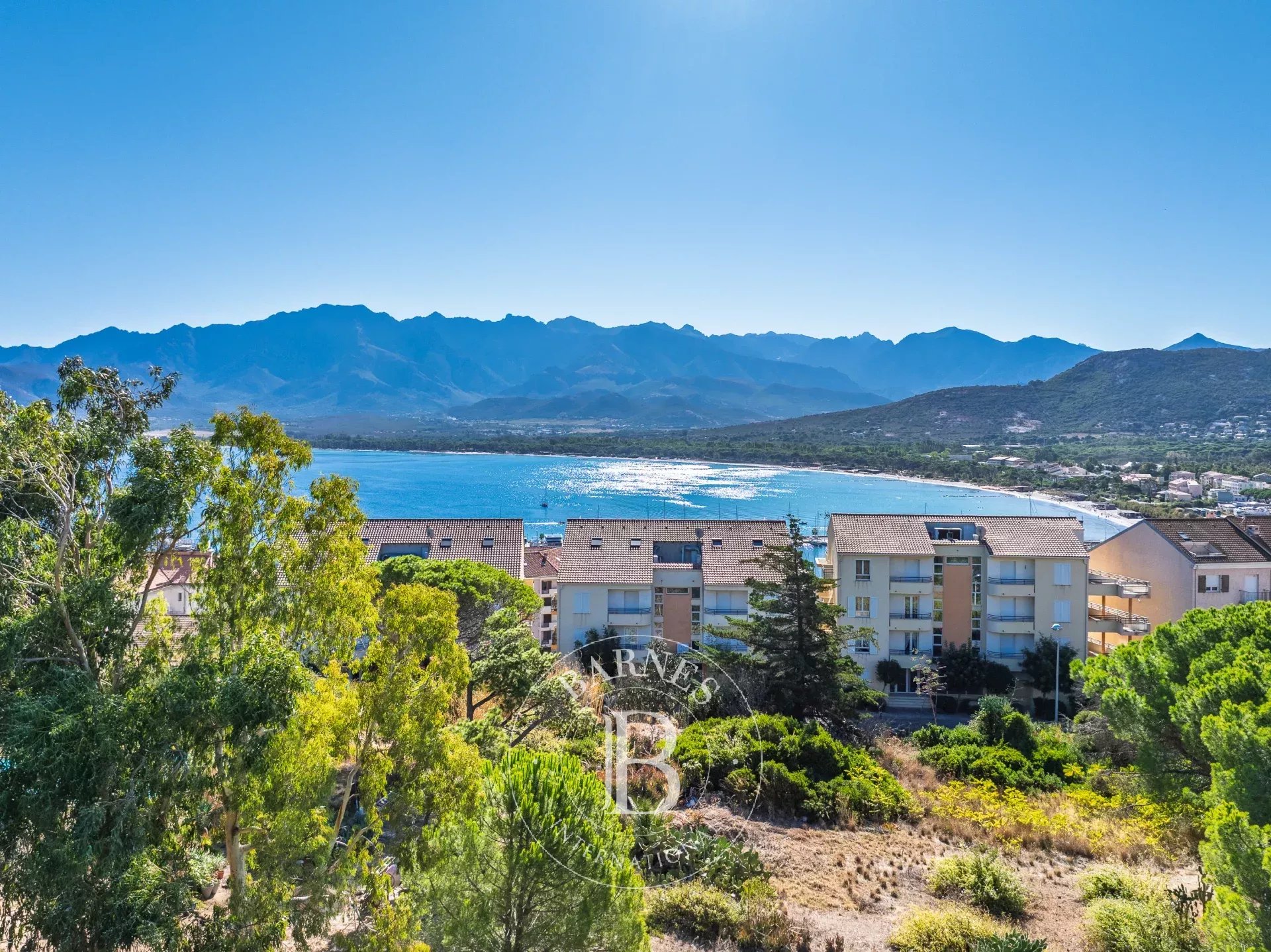 Arazi Calvi - picture 4