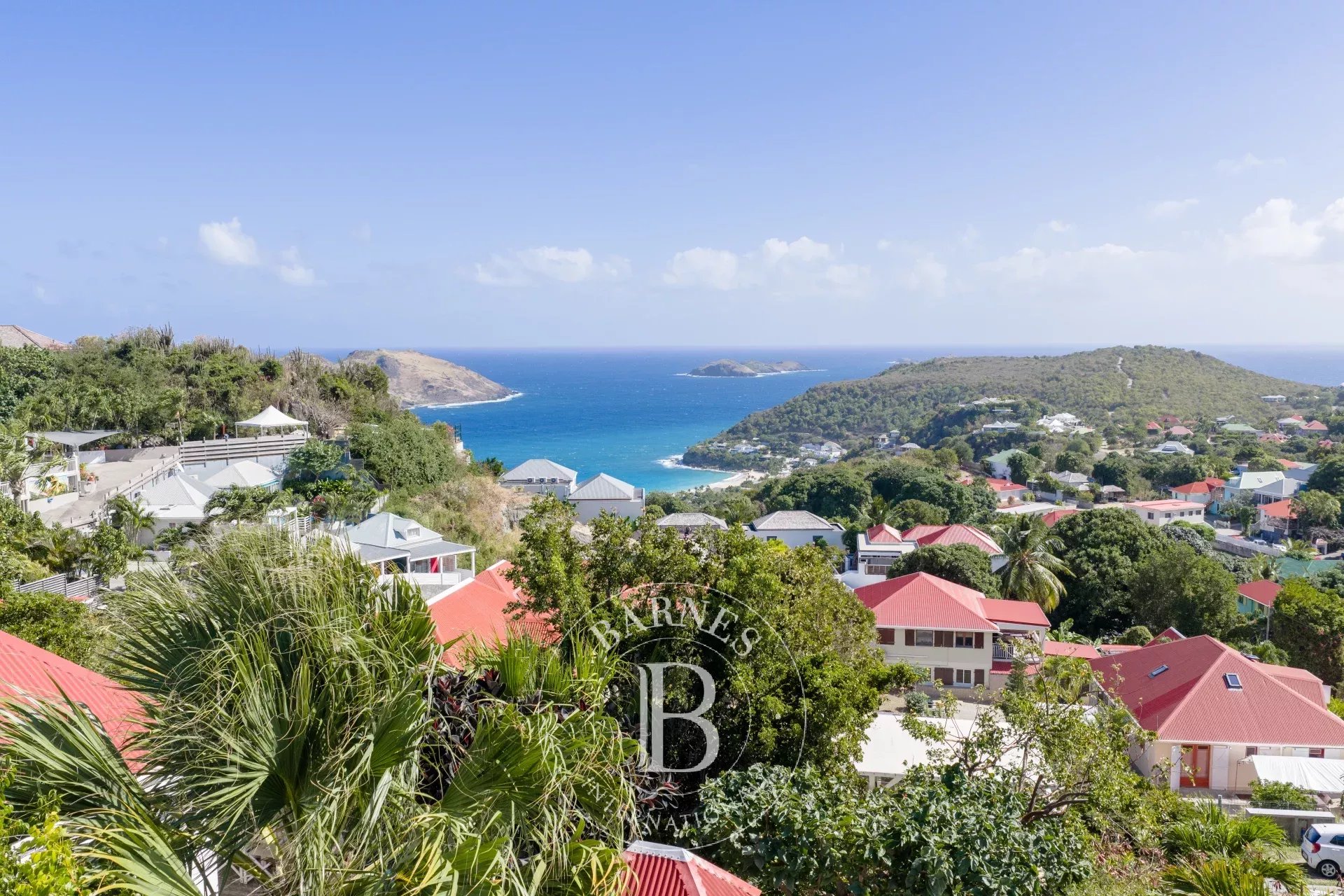 Villa Saint-Barthélemy  -  ref 86797481 (picture 2)