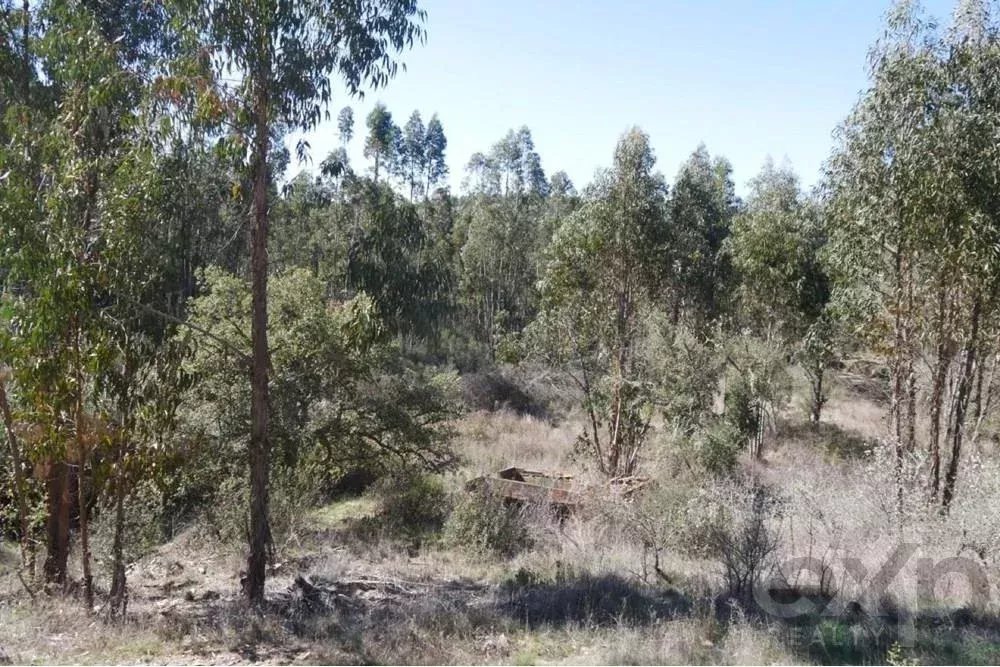 Exceptional 65-Hectare Estate in Alentejo with Tourism Development Potential 85506160 image 32