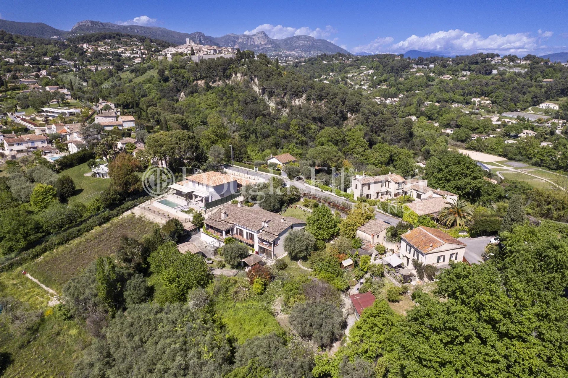 SAINT PAUL DE VENCE :  Le dernier vignoble du village - Image nᵒ2