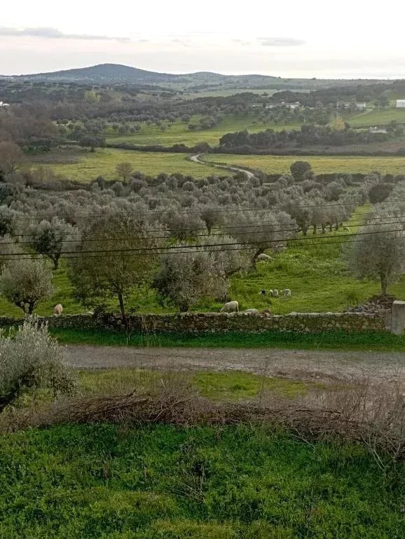 5-Bedroom Villa (2 x 3-Bedroom + 1 x 2-Bedroom Units) 86873882 image 75