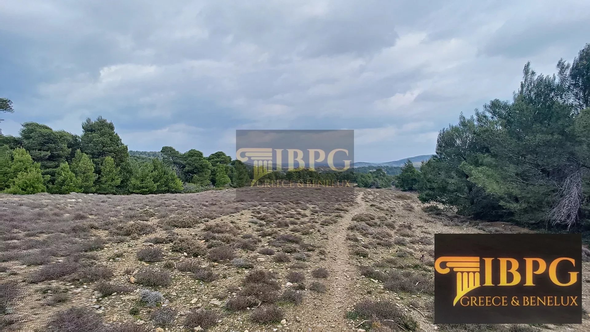 for sale Land in Skiros Central Greece 25000m2 ,250000€