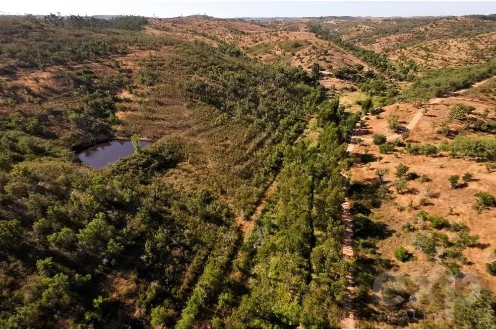 Exceptional 65-Hectare Estate in Alentejo with Tourism Development Potential 85506160 image 14
