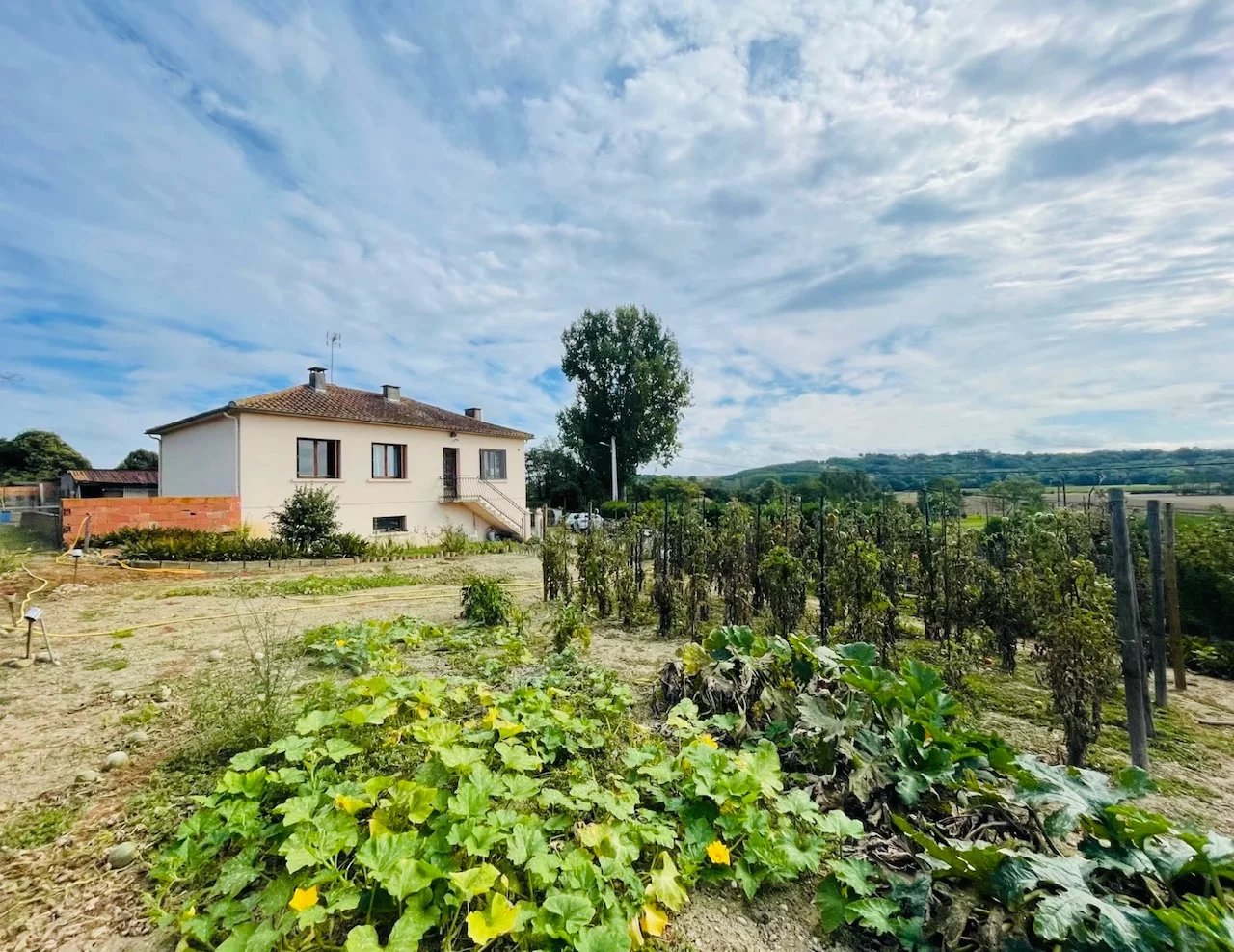 PROPRIETE AVEC VUE SUR LES PYRENEES