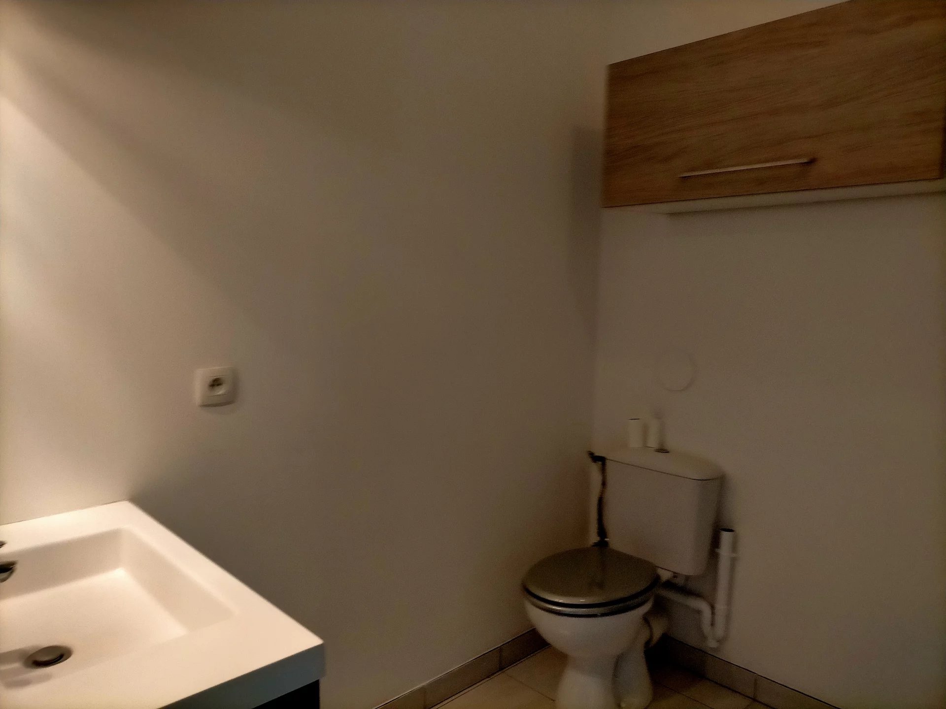 481920 Location Décines-Charpieu