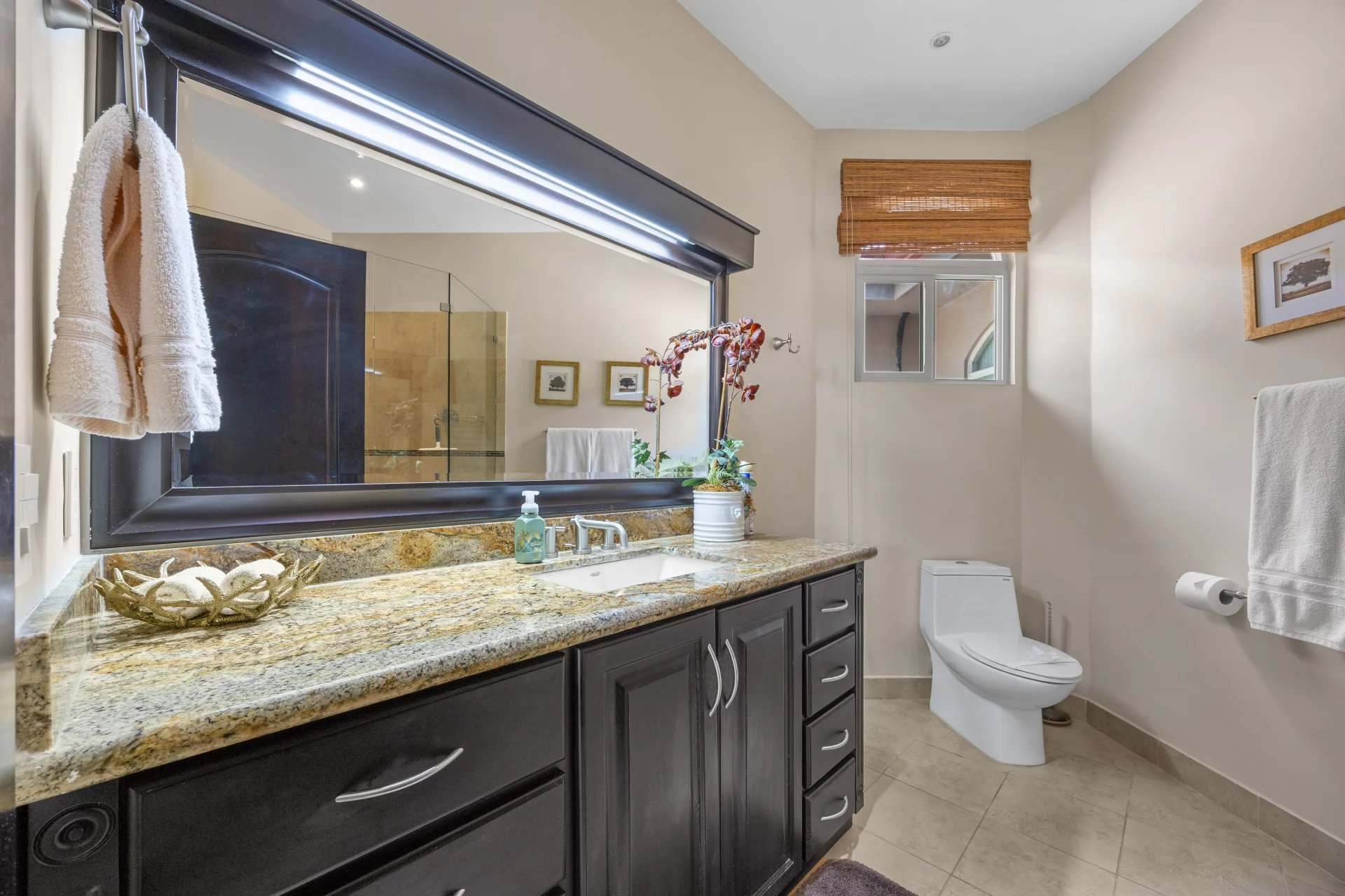 Venta Villa Brasilito