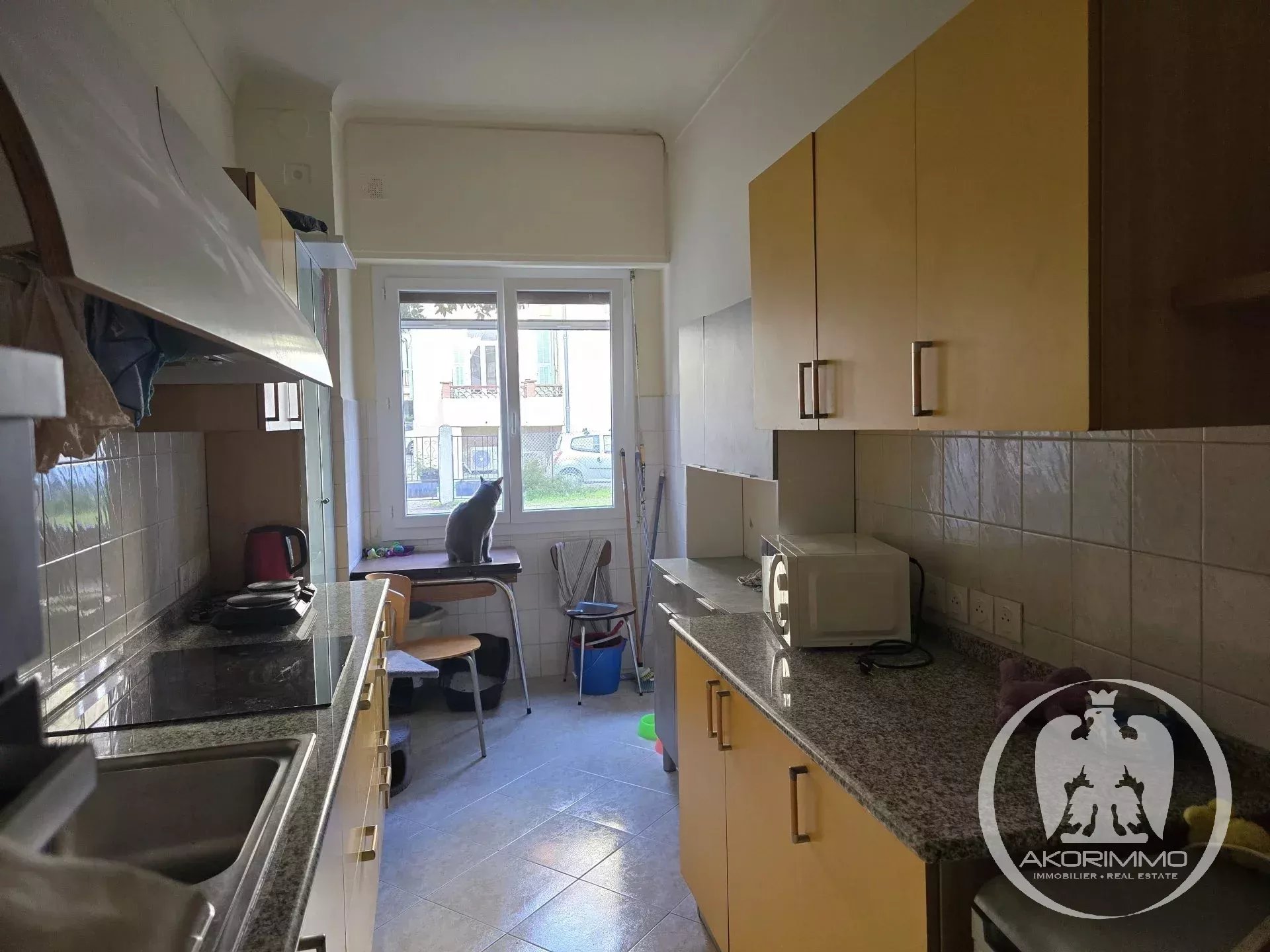 Vendita Appartamento - Nizza (Nice) Borriglione