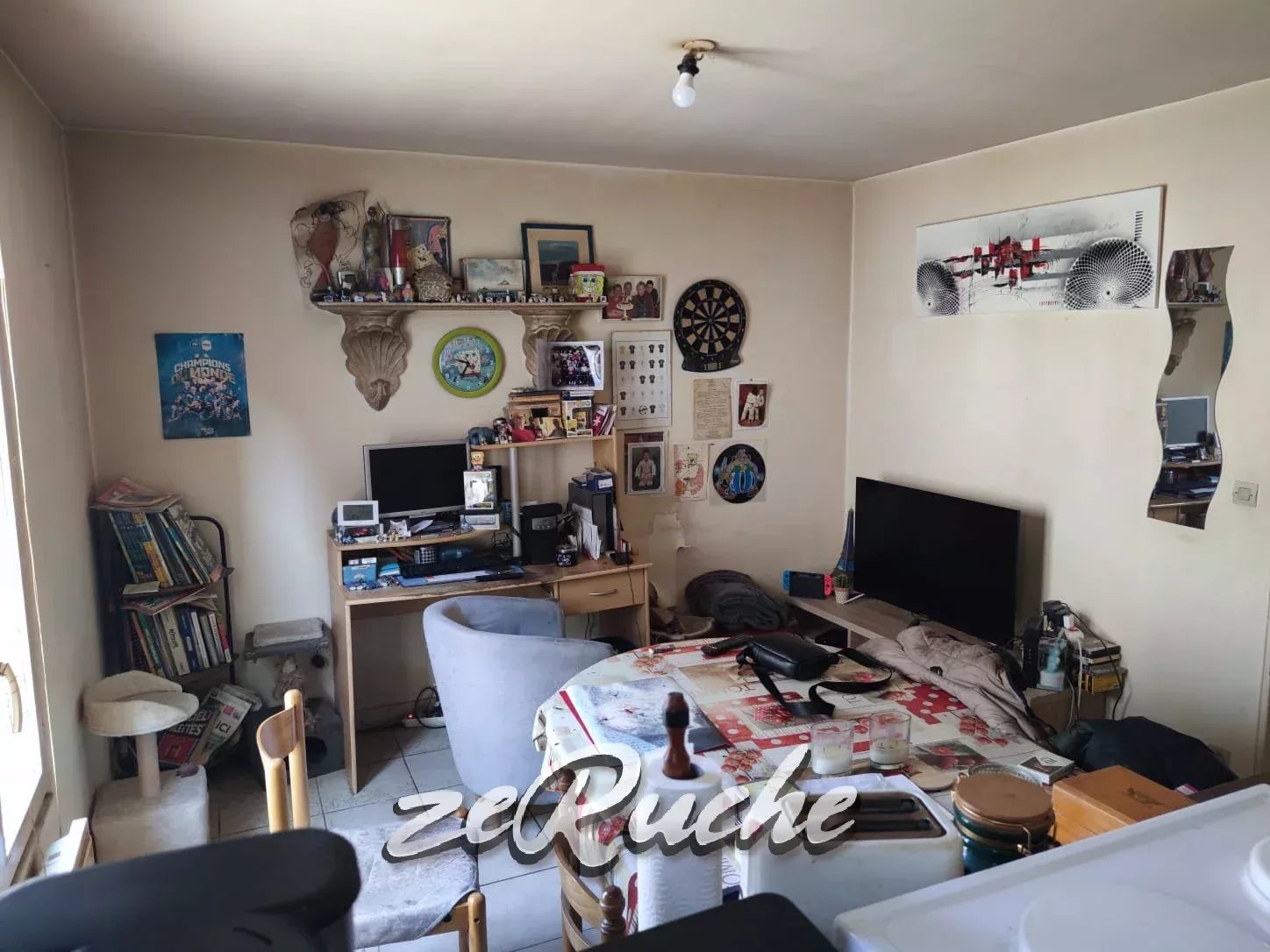 Agence immobilière de ZERUCHE