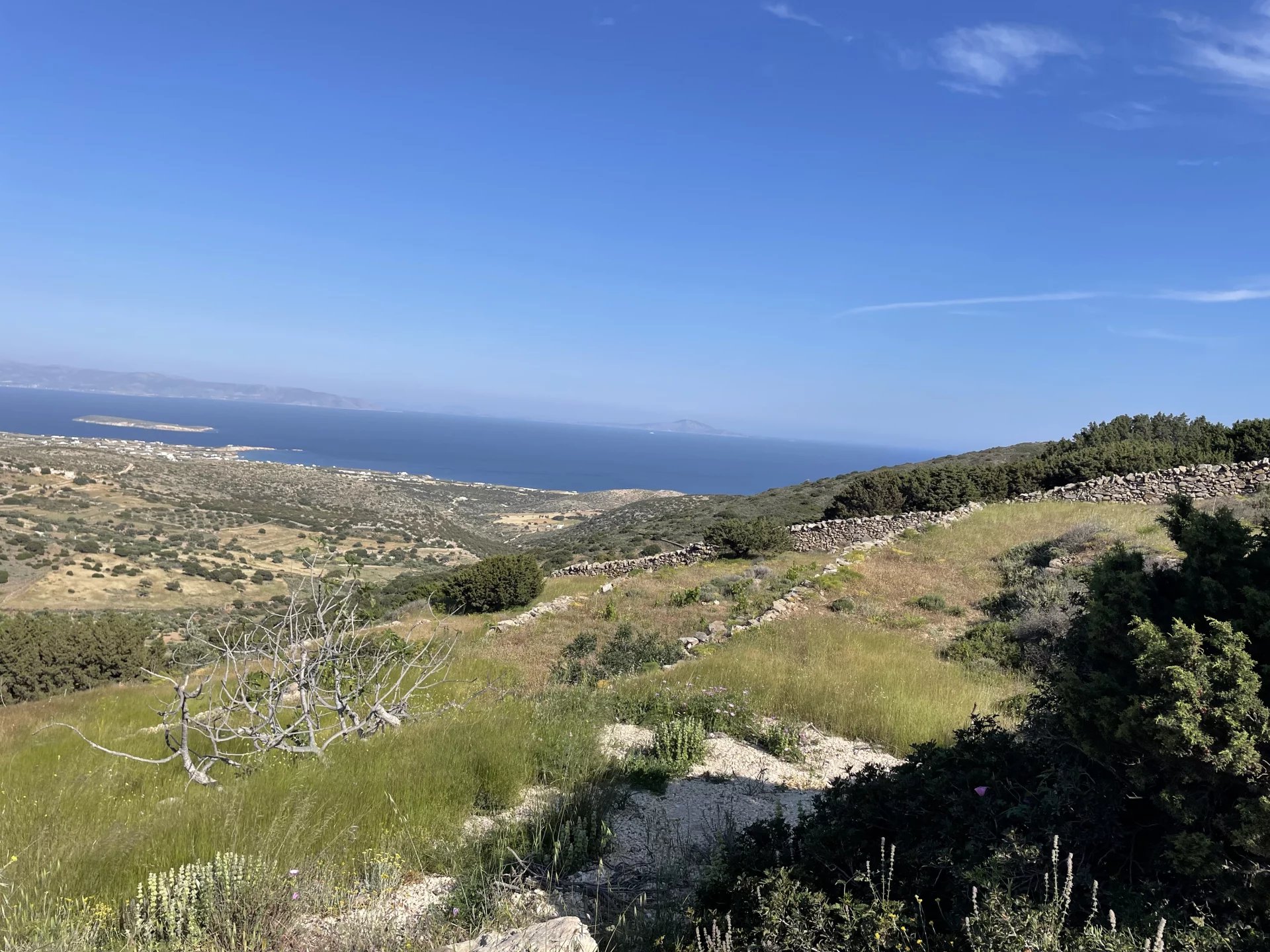FOR SALE - LAND WITH PANORAMIC SEA VIEW - PAROS ISLAND