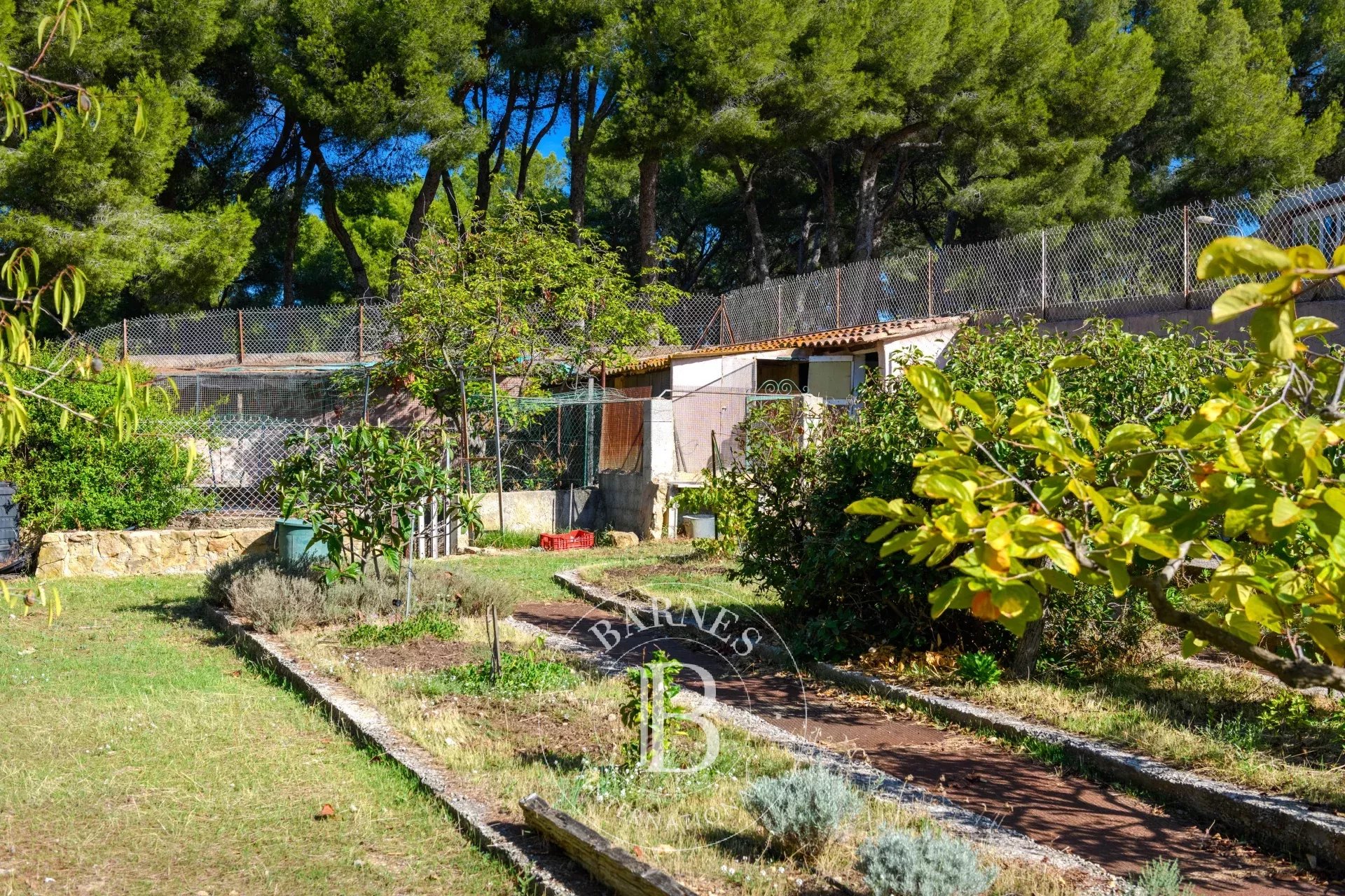 Villa Sanary-sur-Mer - picture 17