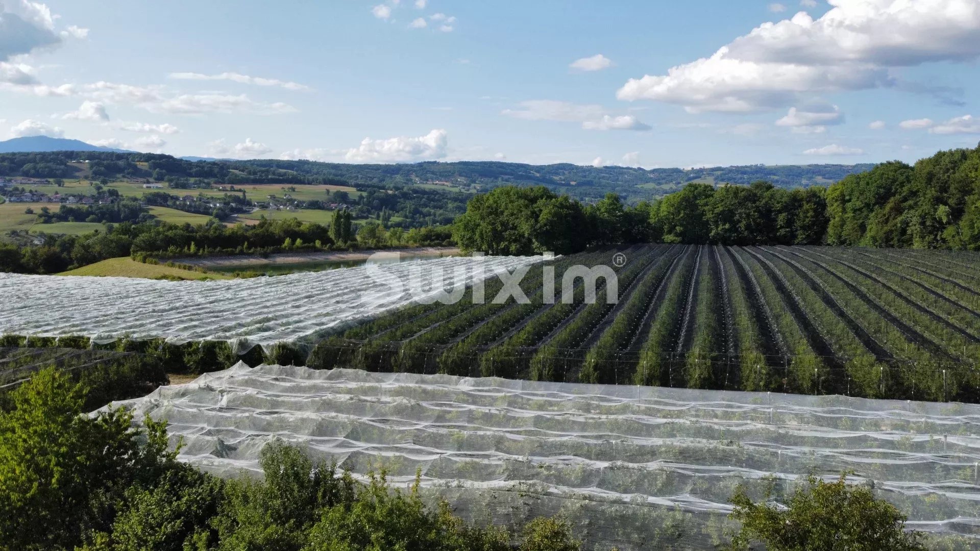 Agence immobilière de Swixim Cruseilles