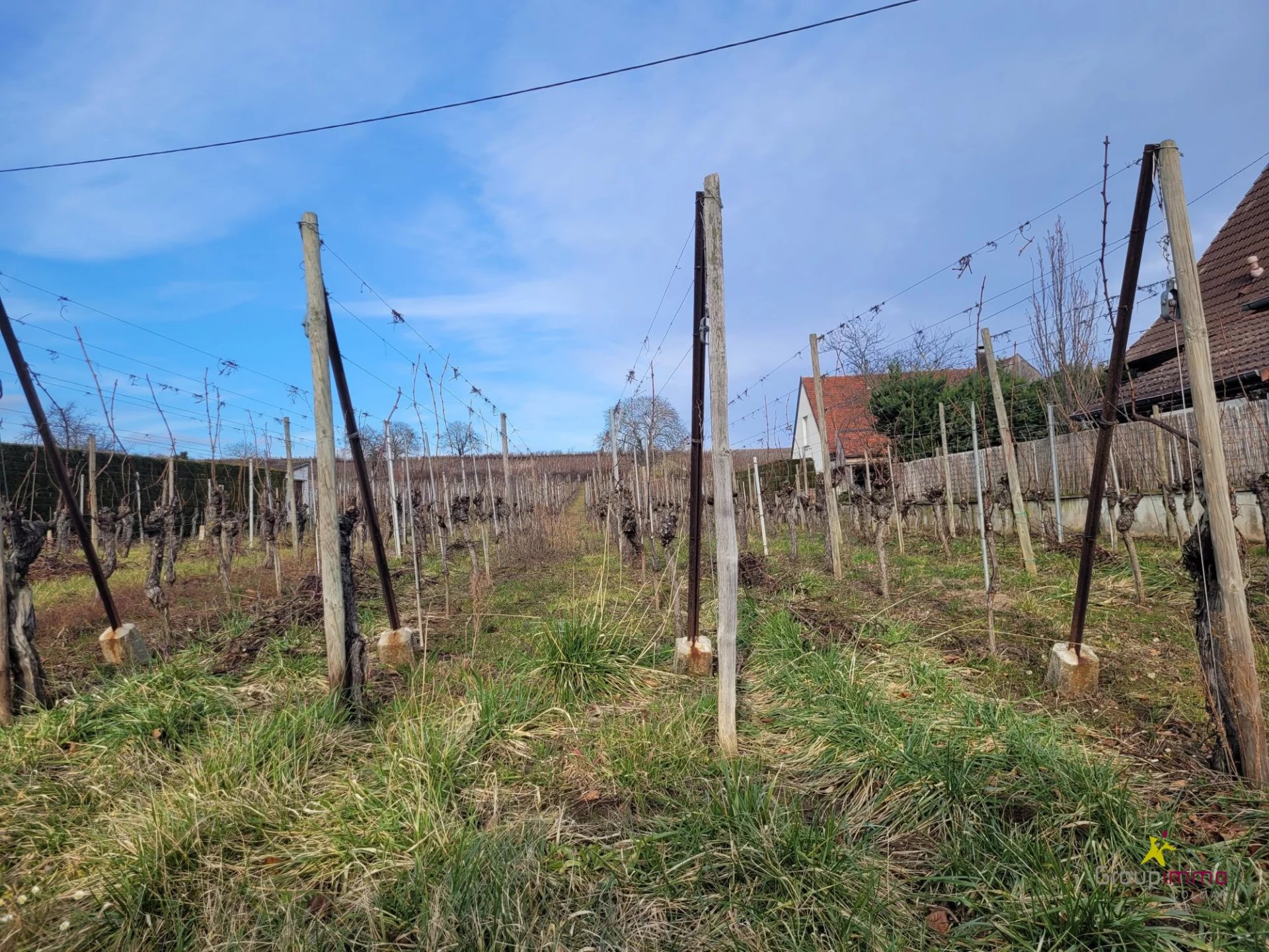 Vente Terrain constructible Obermorschwihr