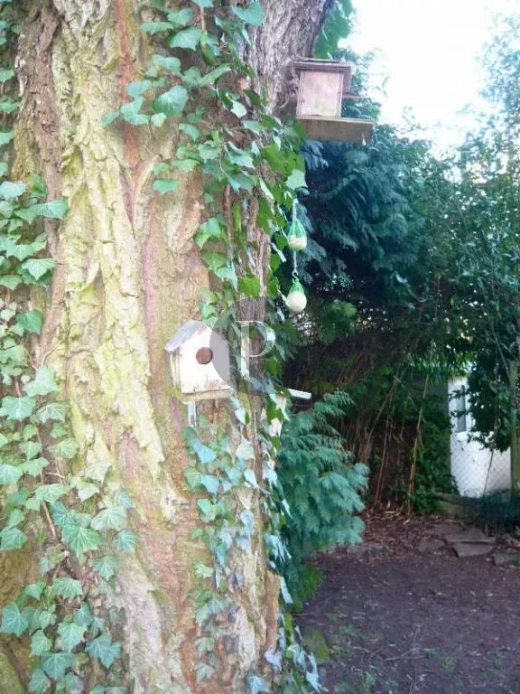 vente-maison-7-pieces-chatenay-malabry-83876822