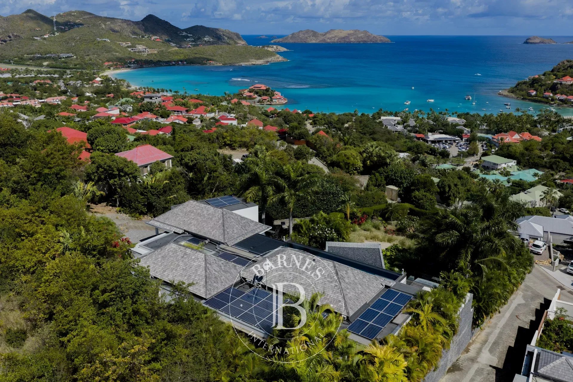 Villa Saint-Barthélemy  -  ref 85497843 (picture 2)