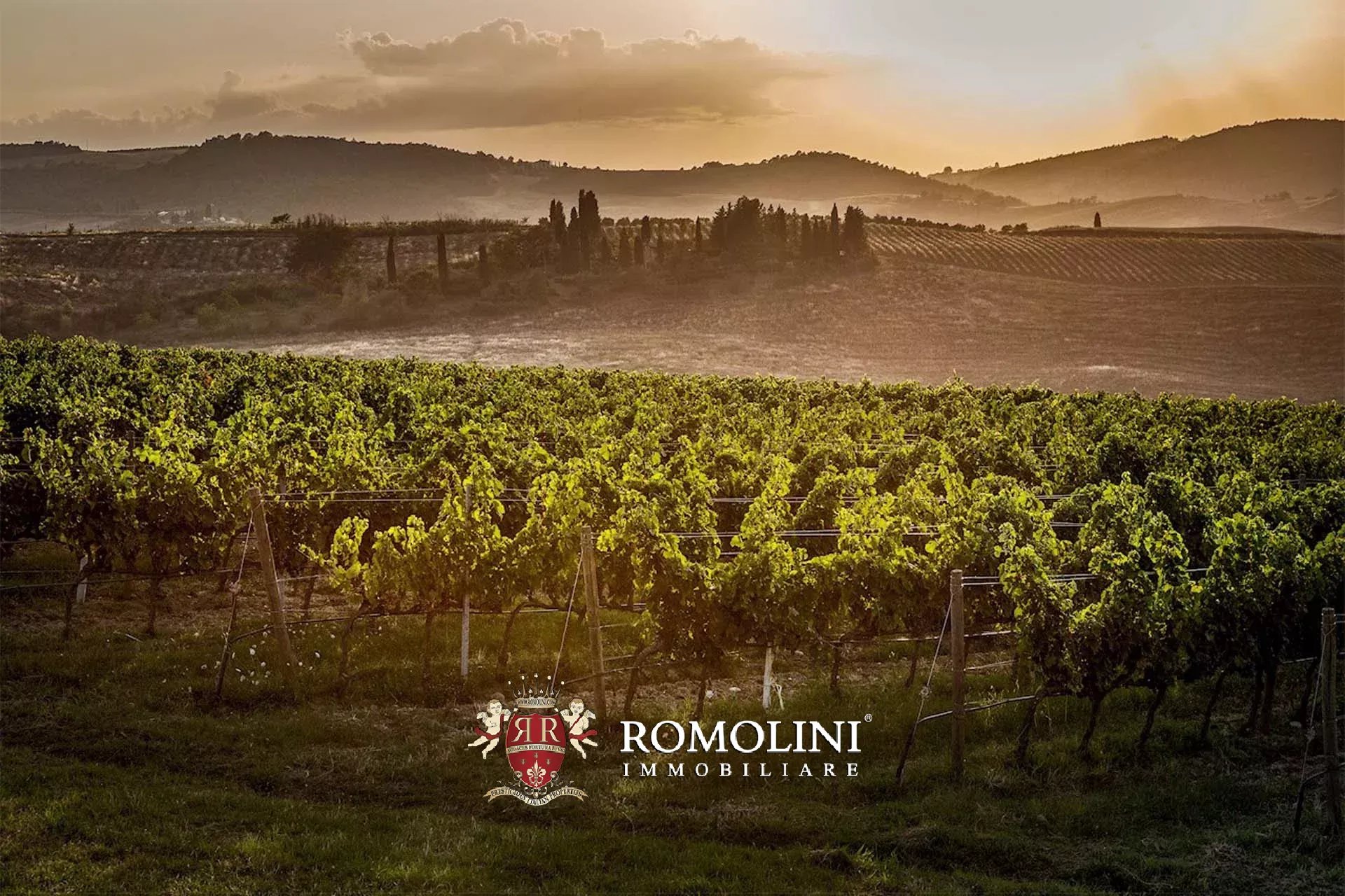 7 Bedroom Vineyard's Image 9