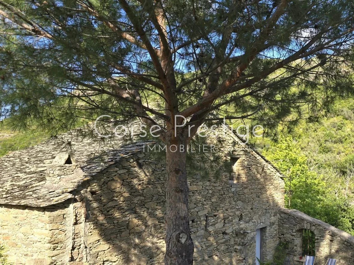 vente d-un moulin en pierre - au bord d-un cours d-eau - haute corse image1