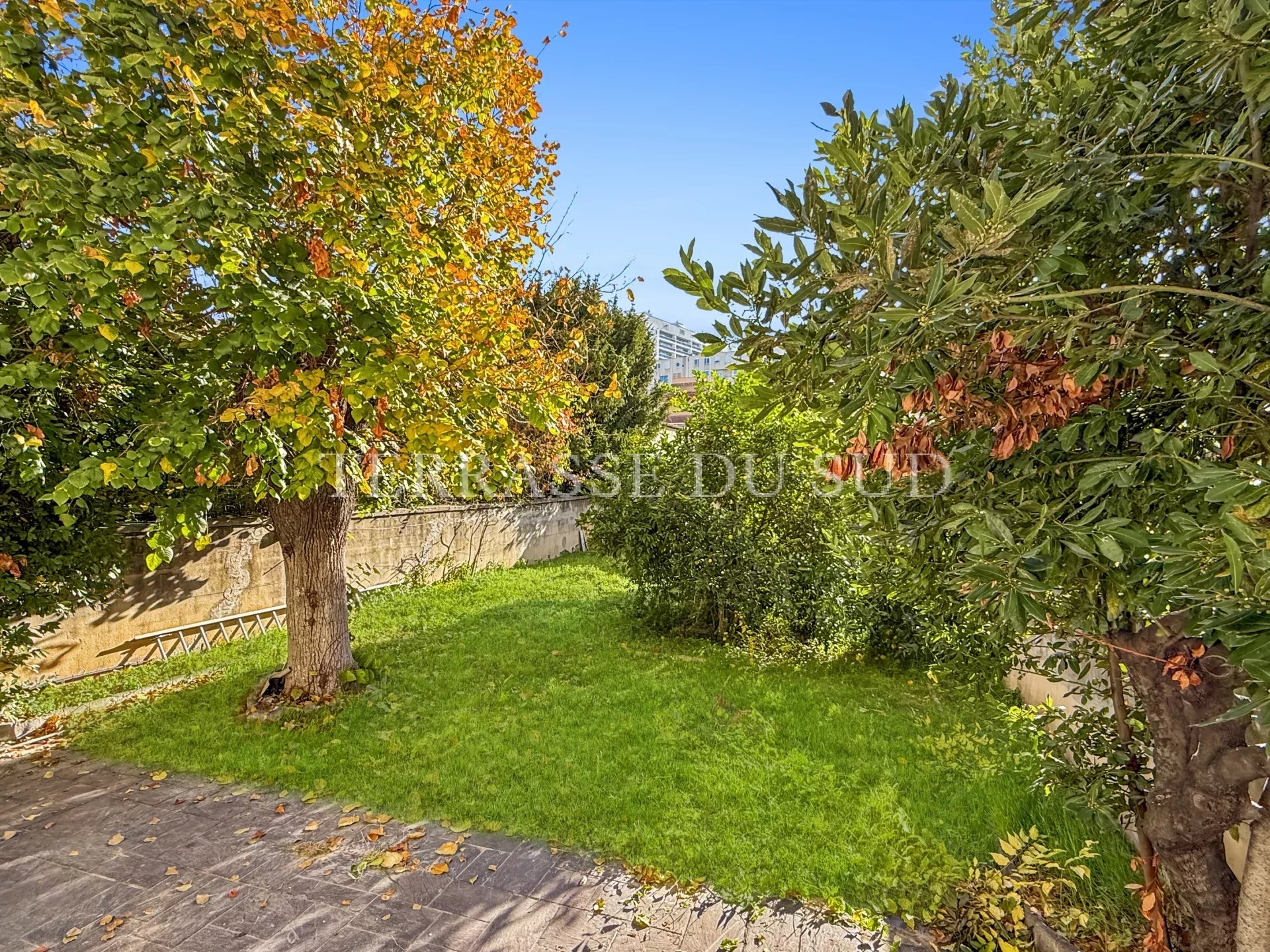 Agence immobilière de Terrasse du Sud