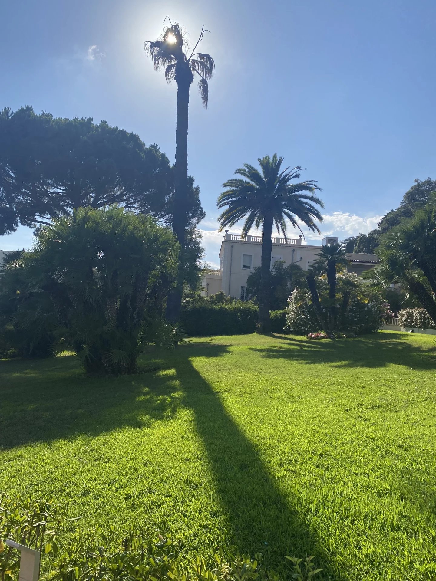 CANNES BASSE CALIFORNIE-TRES BEAU 4P VUE MER