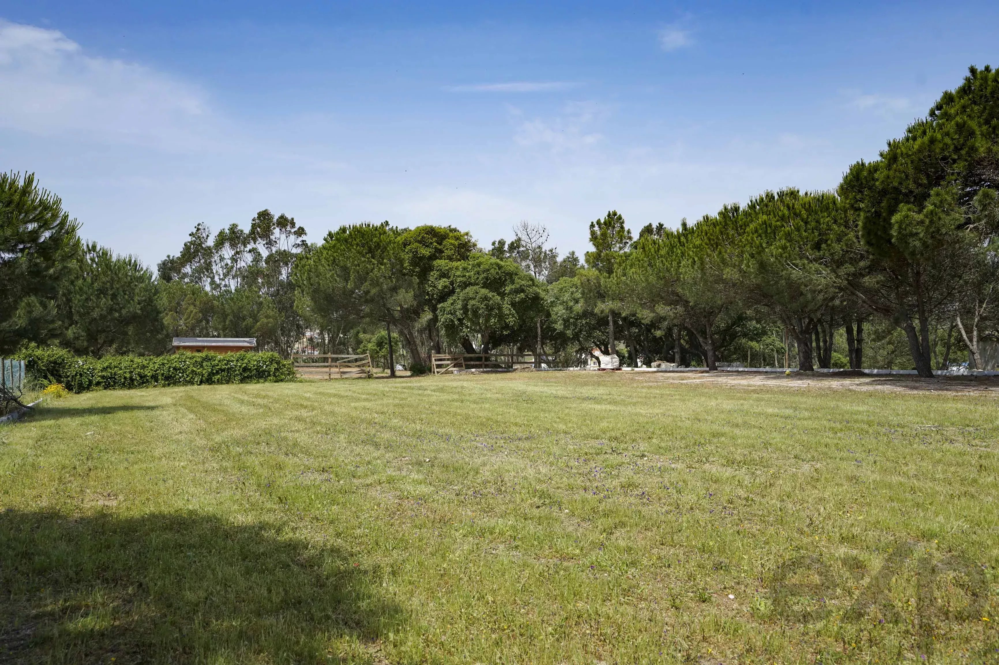 A dos Cunhados - Commercial farm with a plot of land measuring 9630 square meters 87016840 image 49