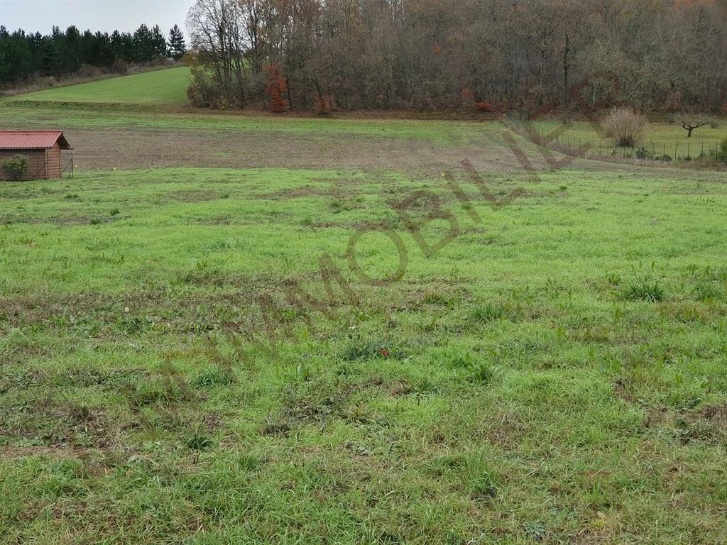 TERRAIN A BATIR 855M² PLAT EN SECONDE LIGNE YONNE