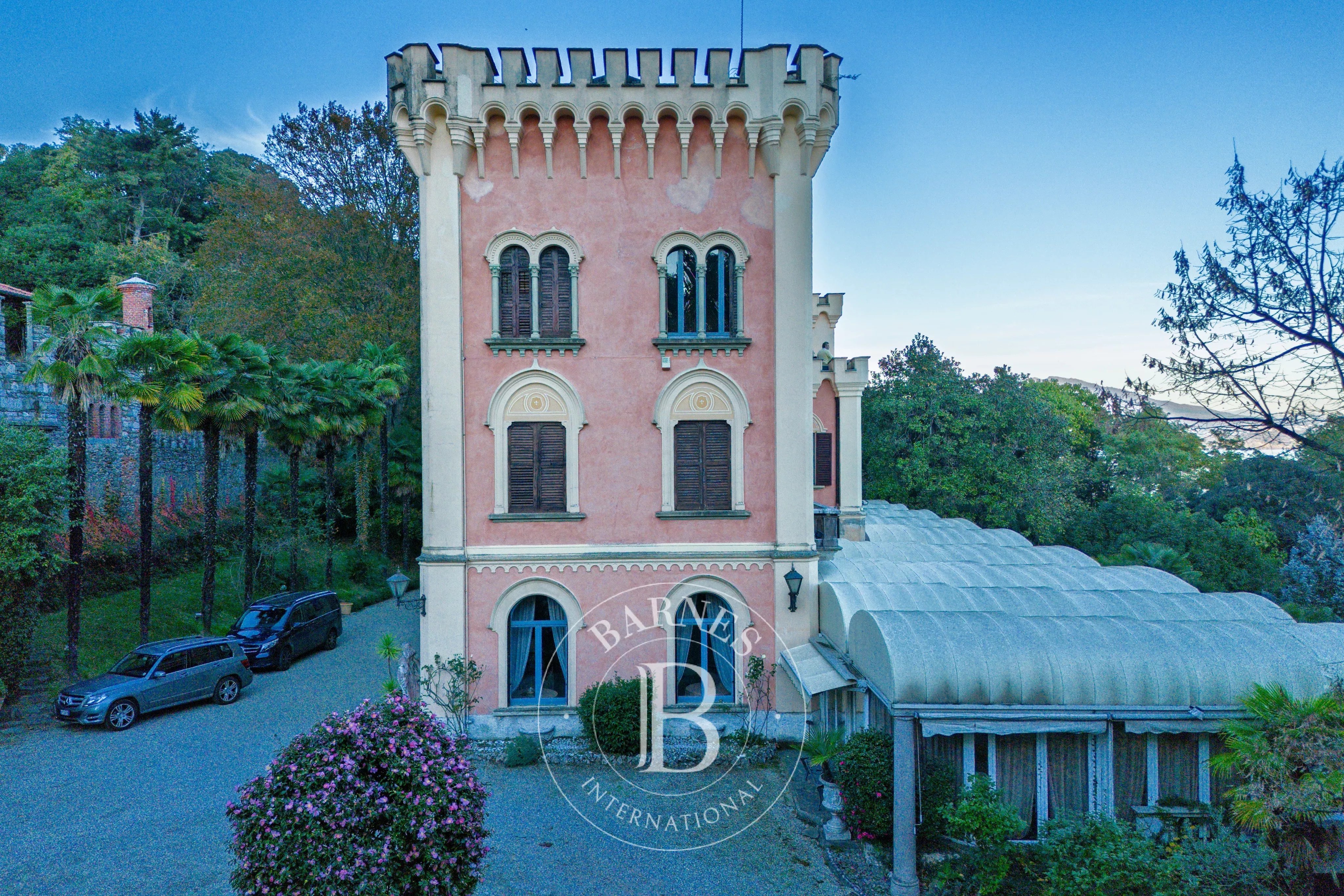 Saray Lesa - picture 4