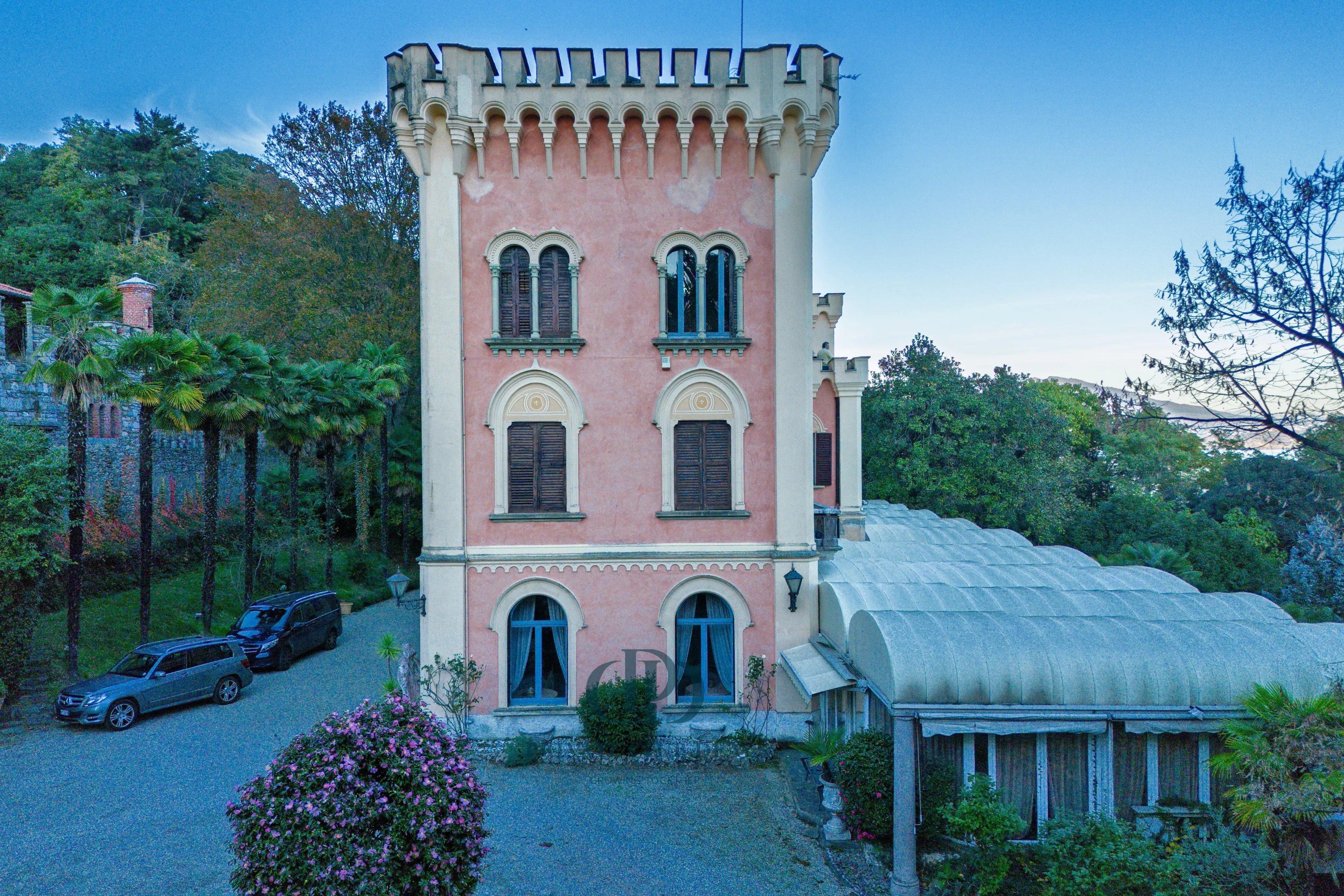 Saray Lesa - picture 4