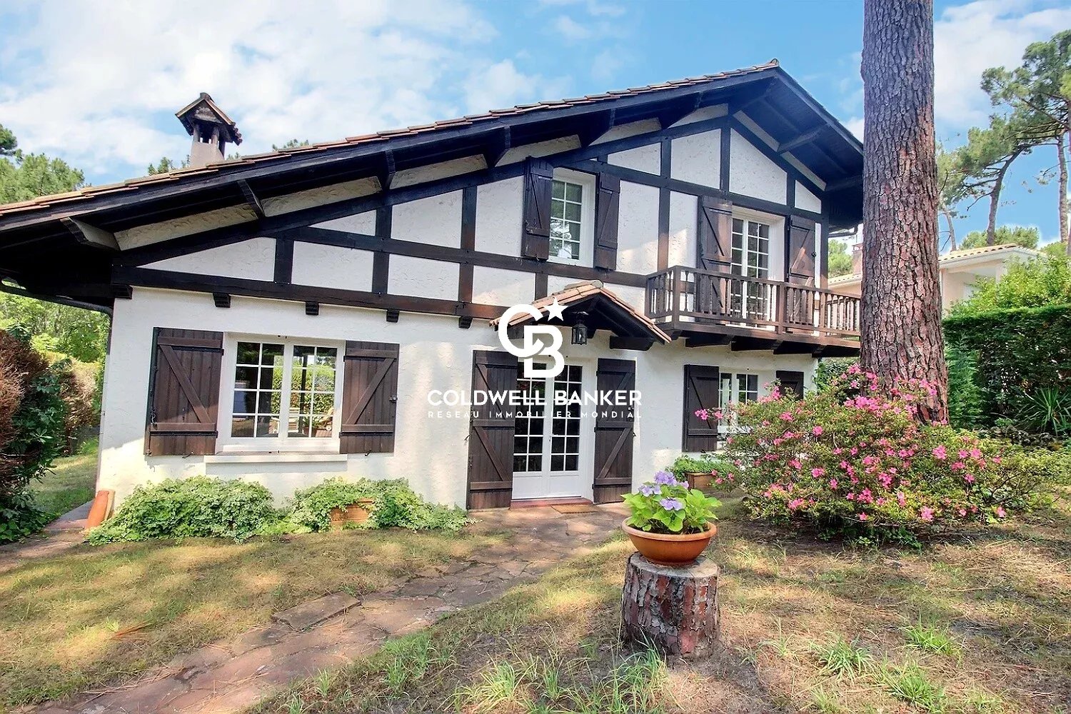 Agence immobilière de Silver Coast Int. Realty