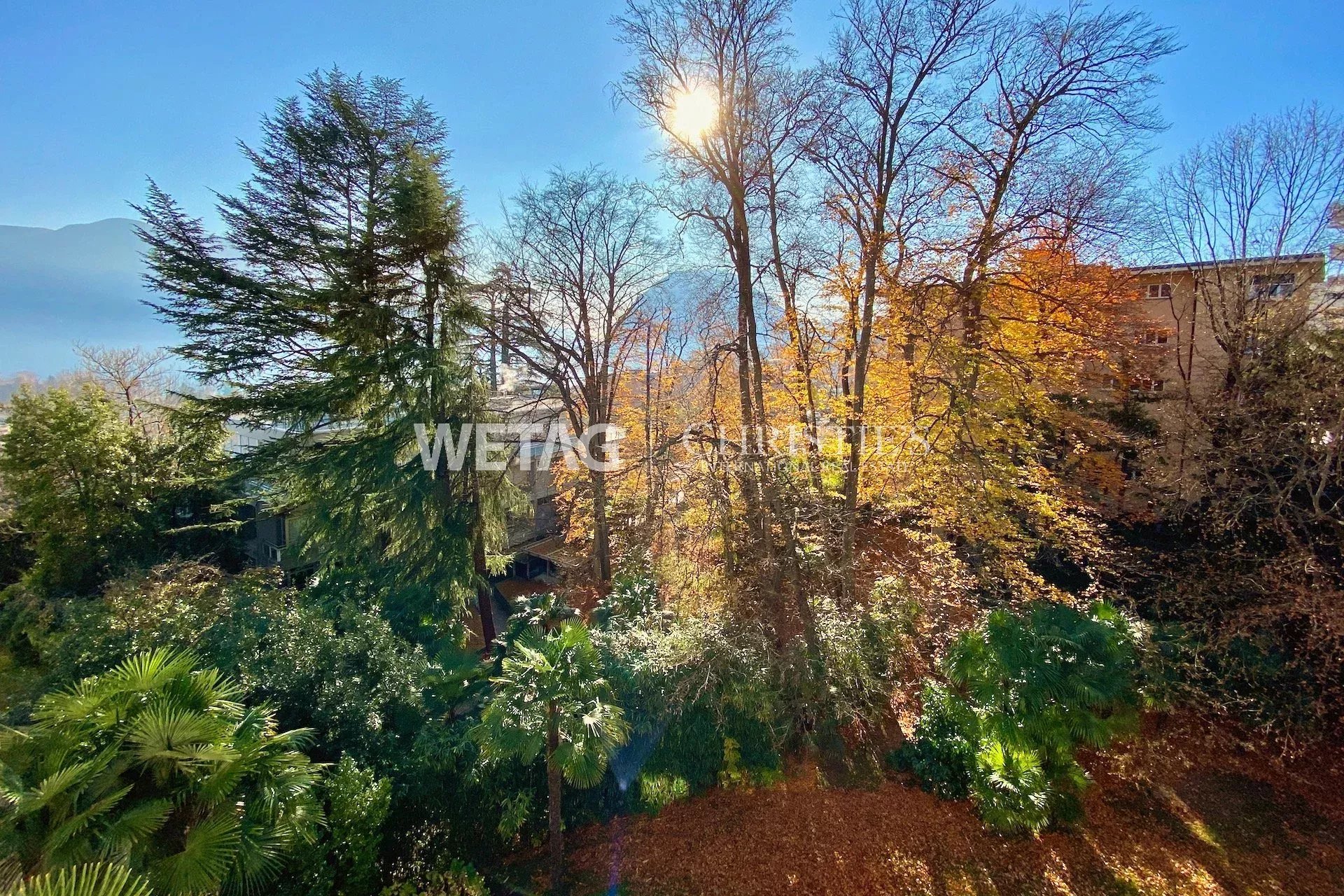 Property Slider Image