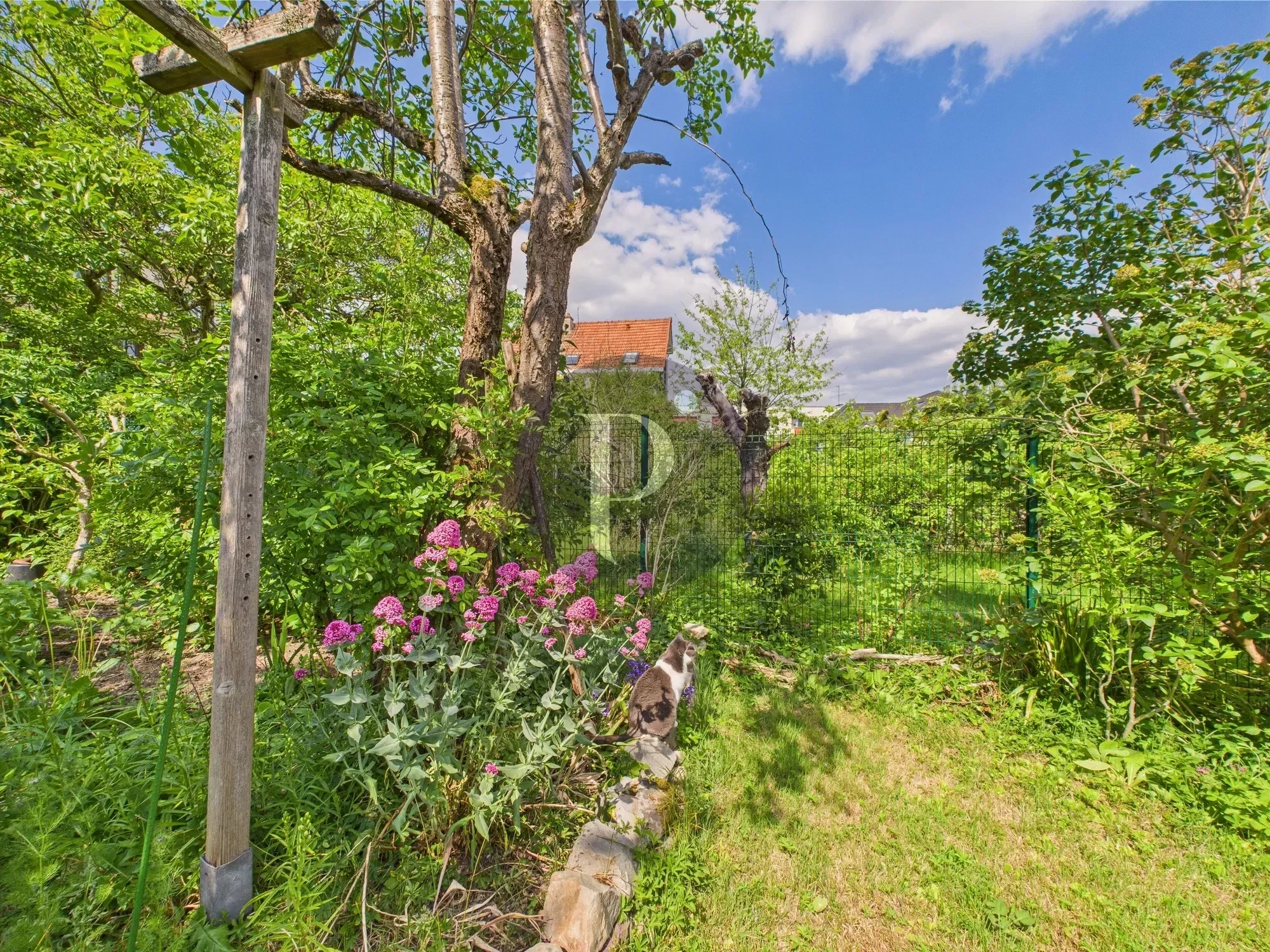 vente-maison-6-pieces-antony-92-hauts-de-seine-85853624