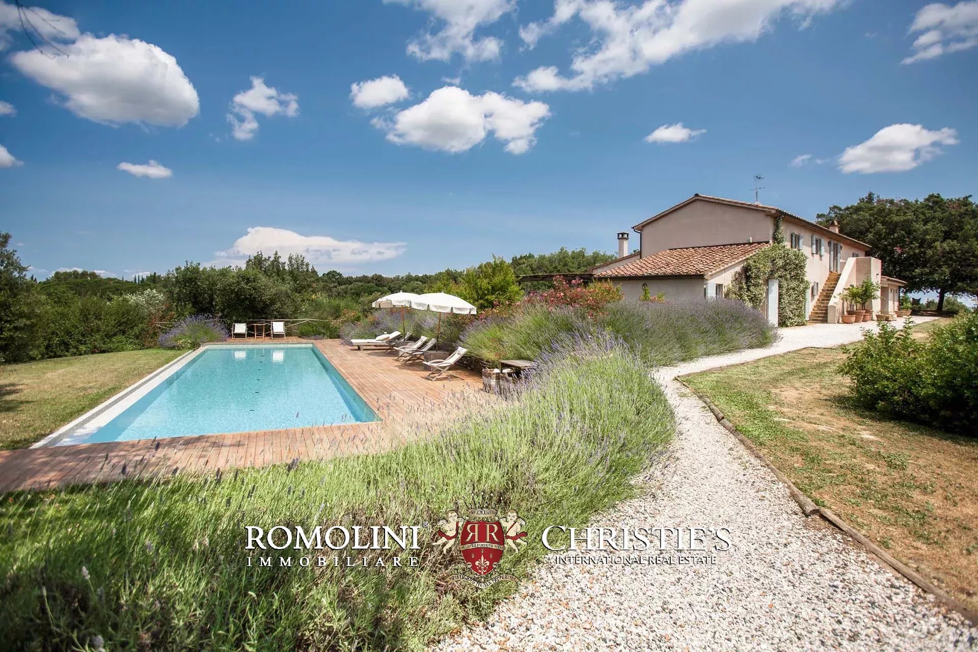 EQUESTRIAN SEA VIEW WINE ESTATE WITH VINEYARDS FOR SALE CLOSE TO BOLGHERI, TUSCANY