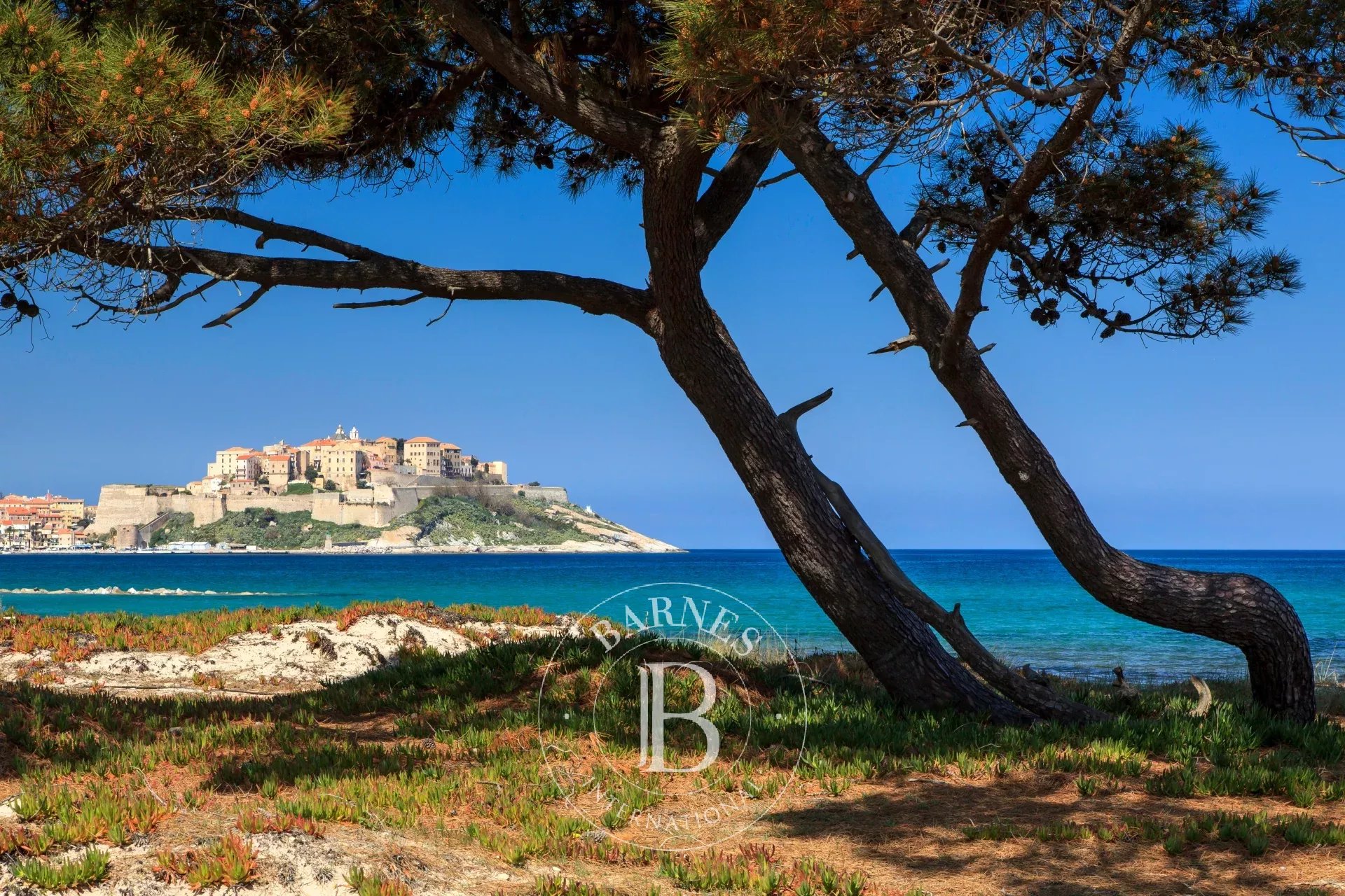 Villa Calvi - picture 19