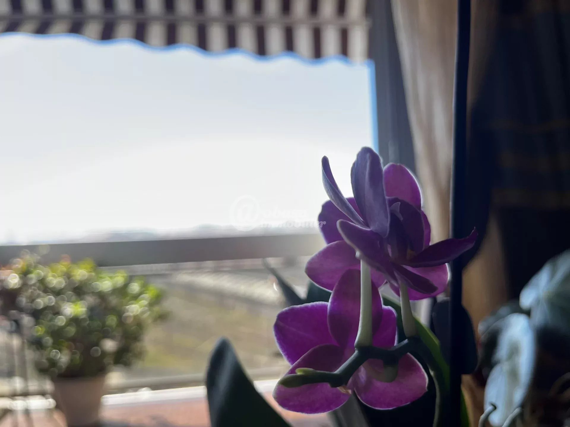 Vente Appartement Marseille 1er