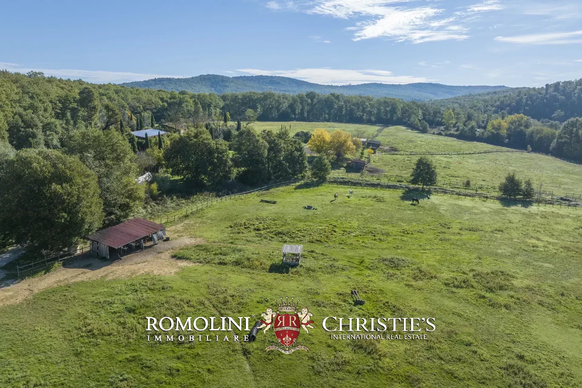 9 Bedroom Horse Property's Image 30