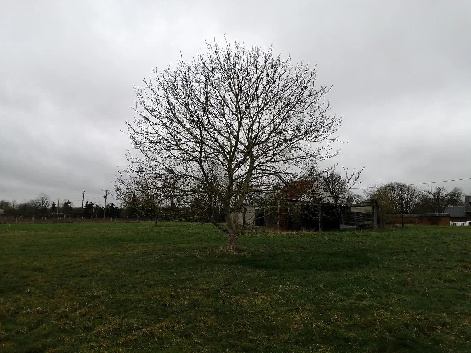 Agence immobilière de AGENCE DE LA BARRE EN OUCHE