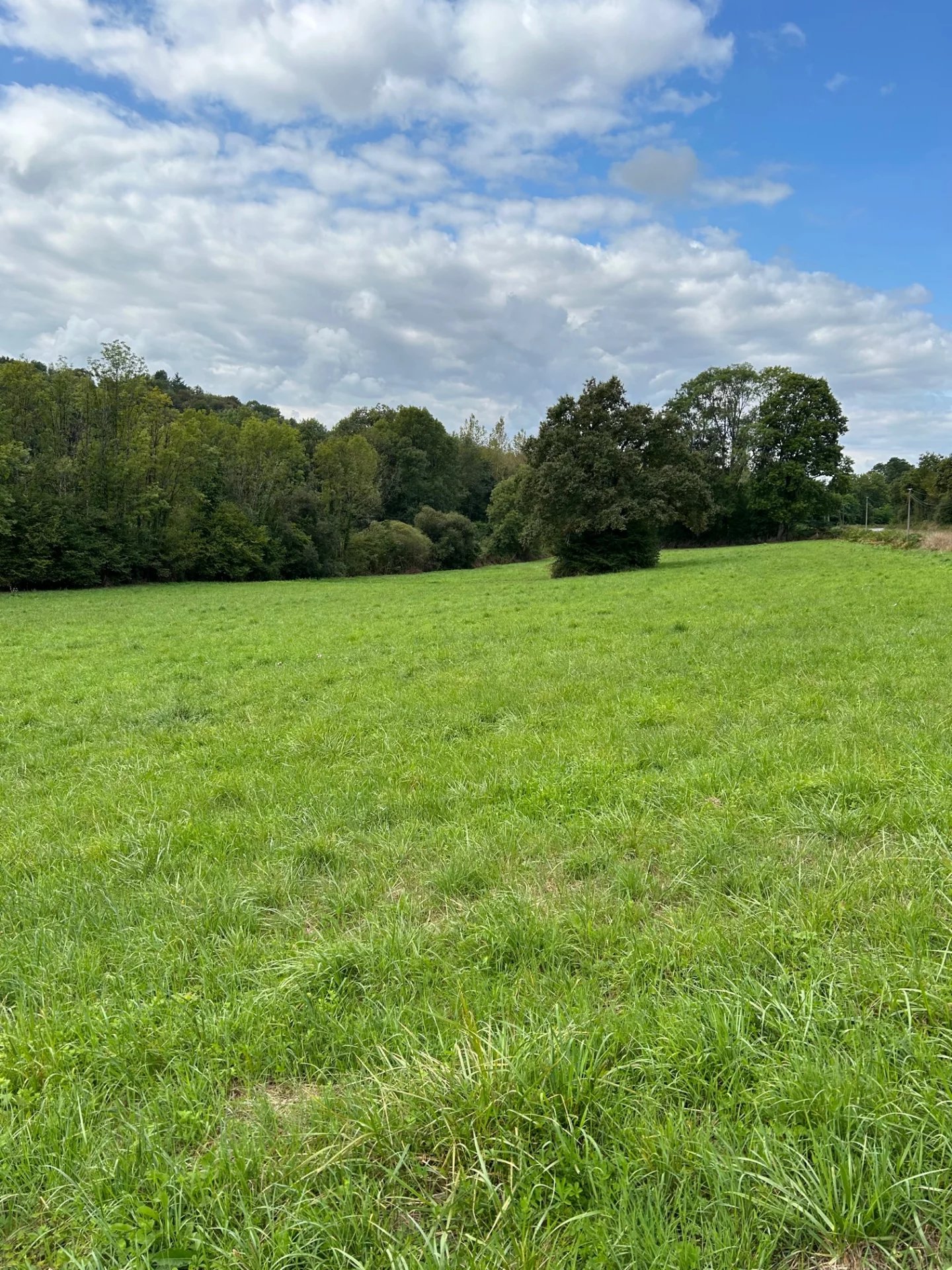 Vente Terrain Saint-Victurnien