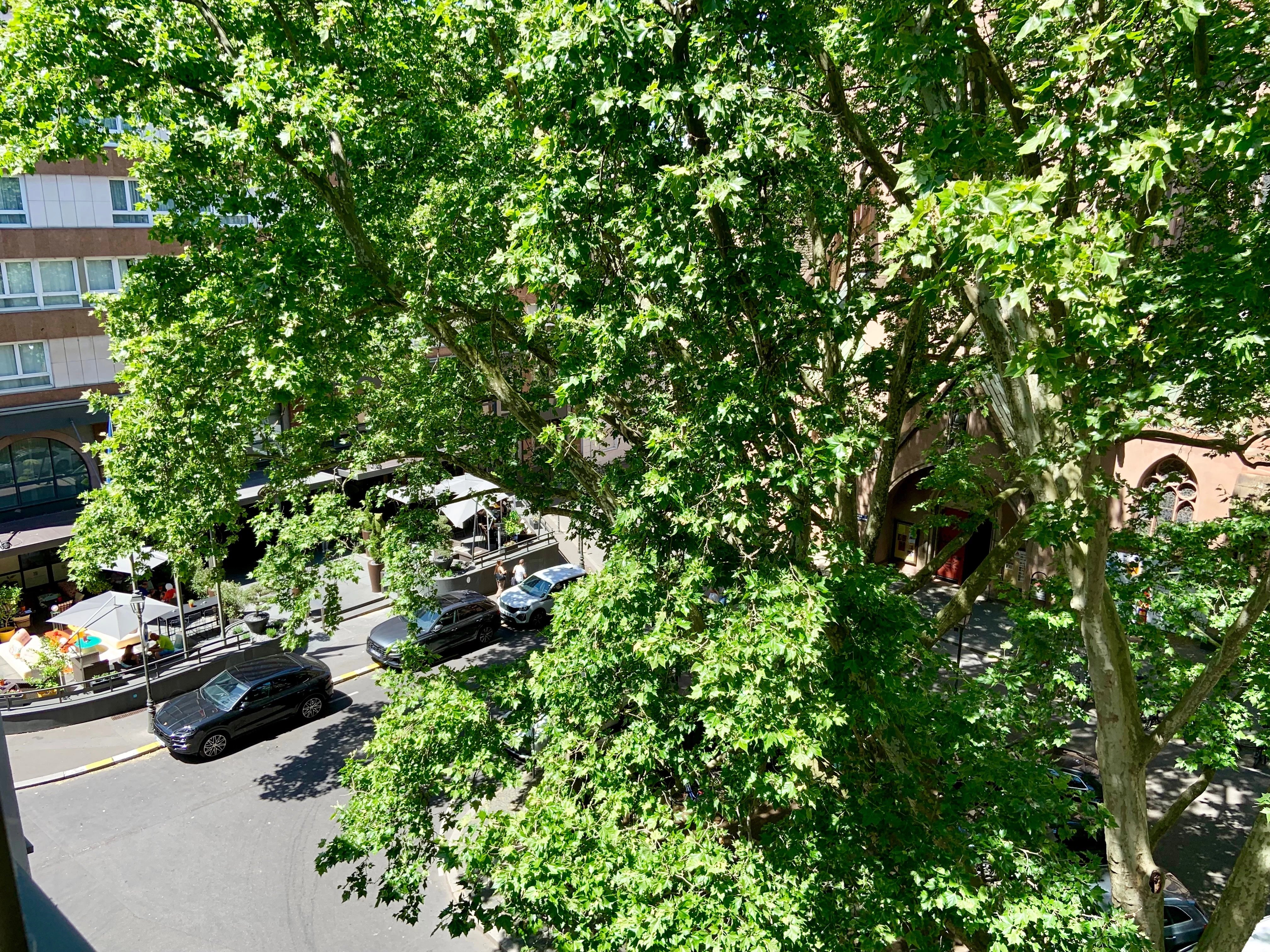 Strasbourg, Place Saint Pierre le Jeune, T2 de 49 m2