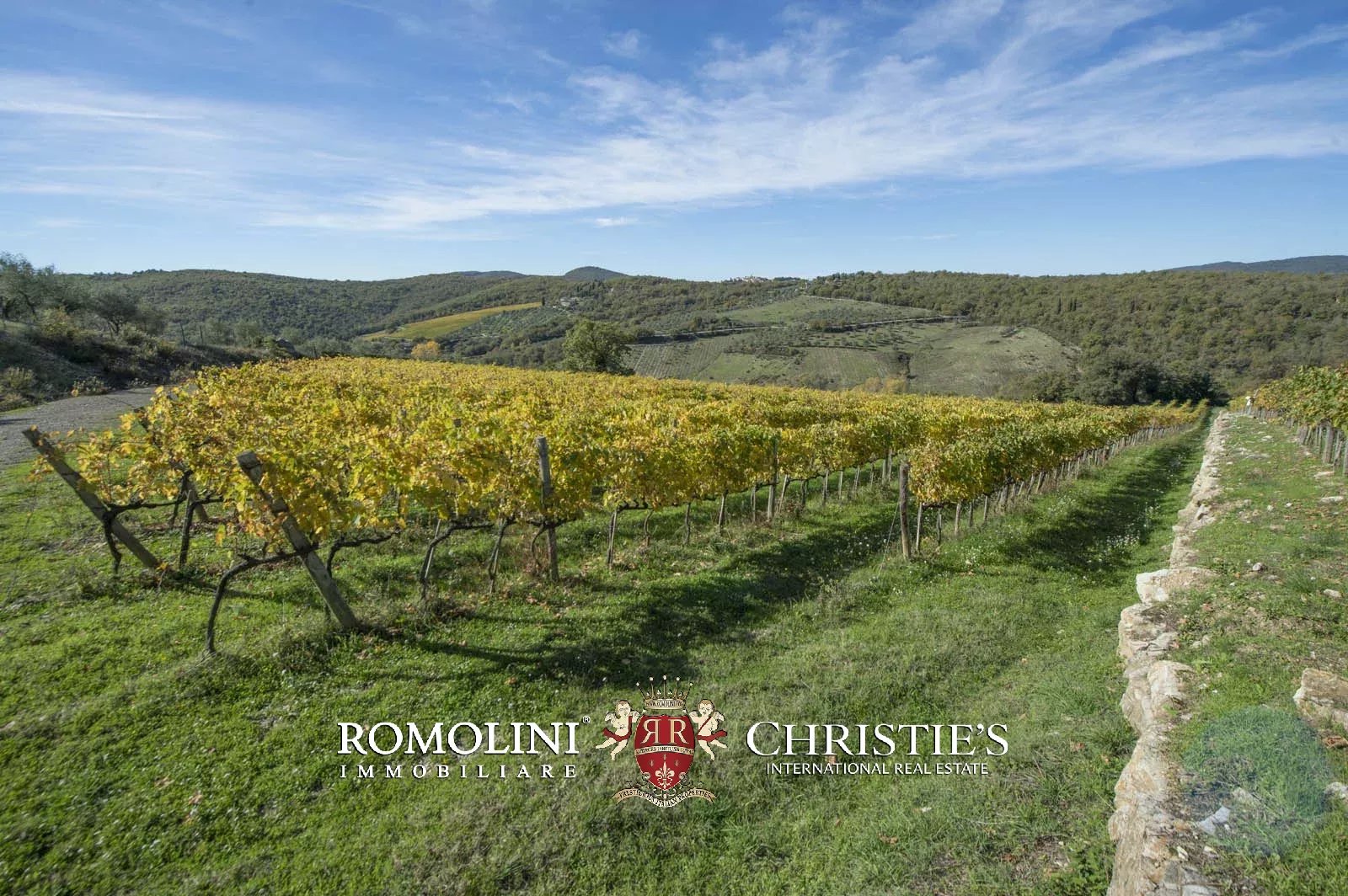 LUXURY HISTORICAL VILLA FOR SALE IN RADDA IN CHIANTI, TUSCANY