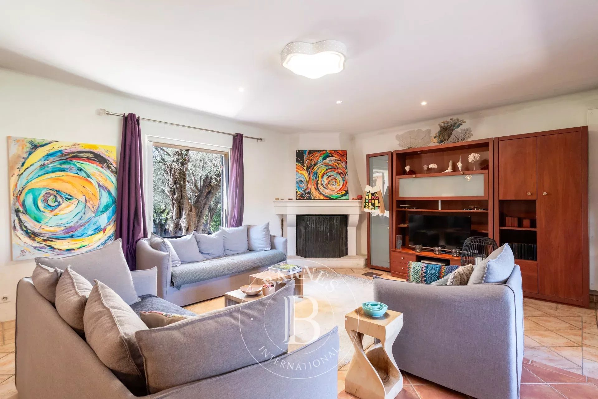 Ev Mougins - picture 6